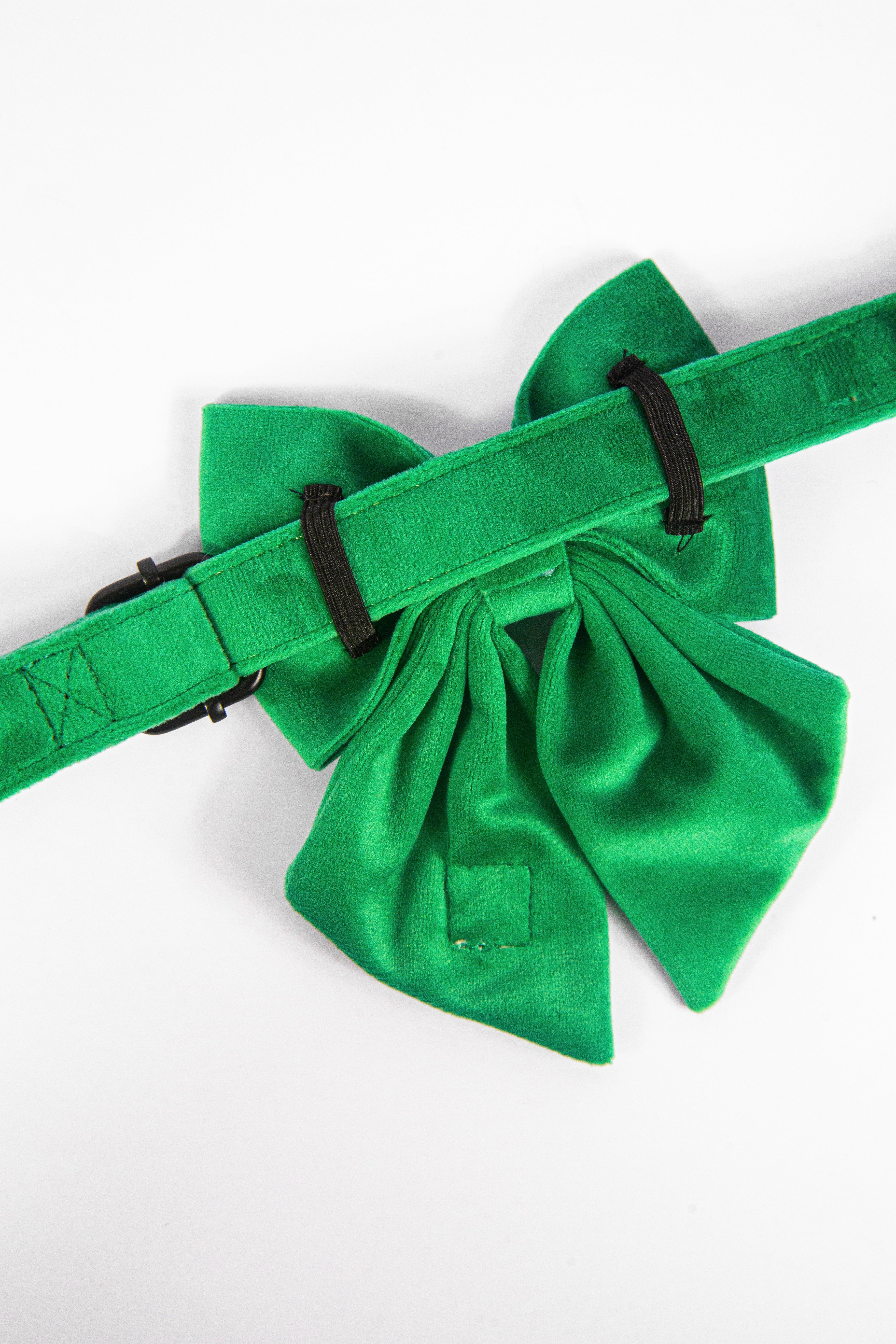 Royal Green Collar + Bow Set
