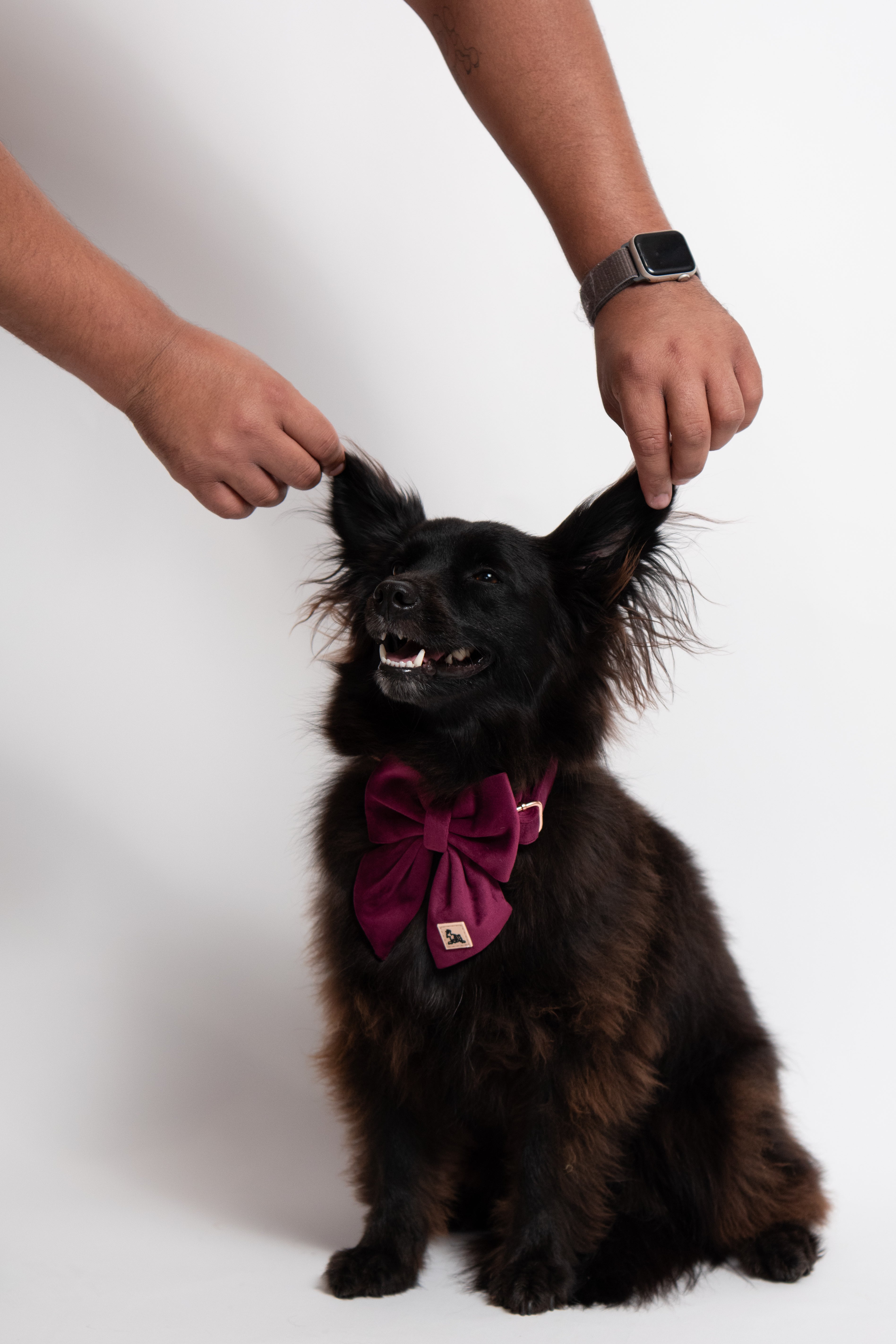 ROYAL LILAC VELVET - BOW