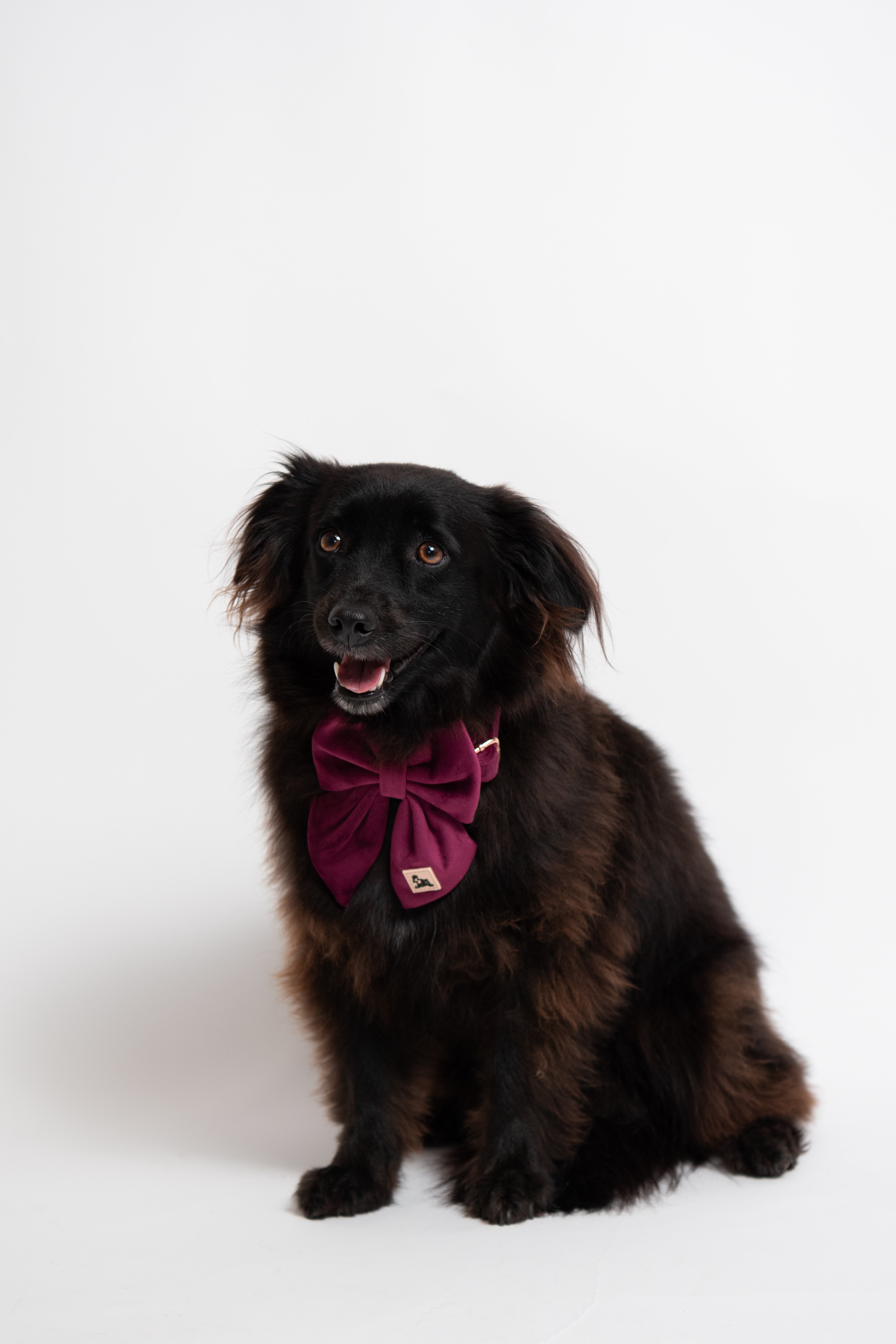 ROYAL LILAC VELVET - BOW