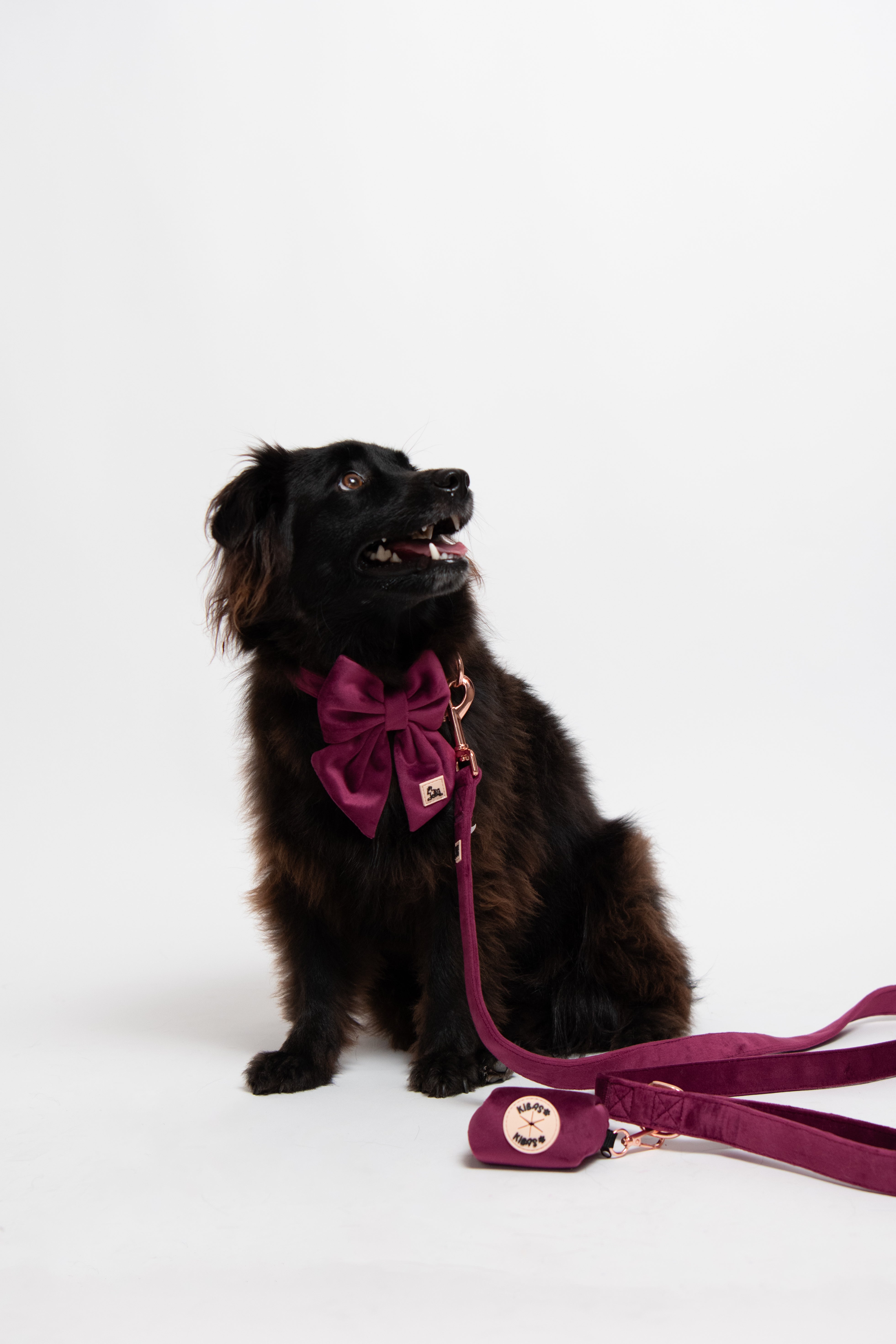 Royal Lilac Velvet Set