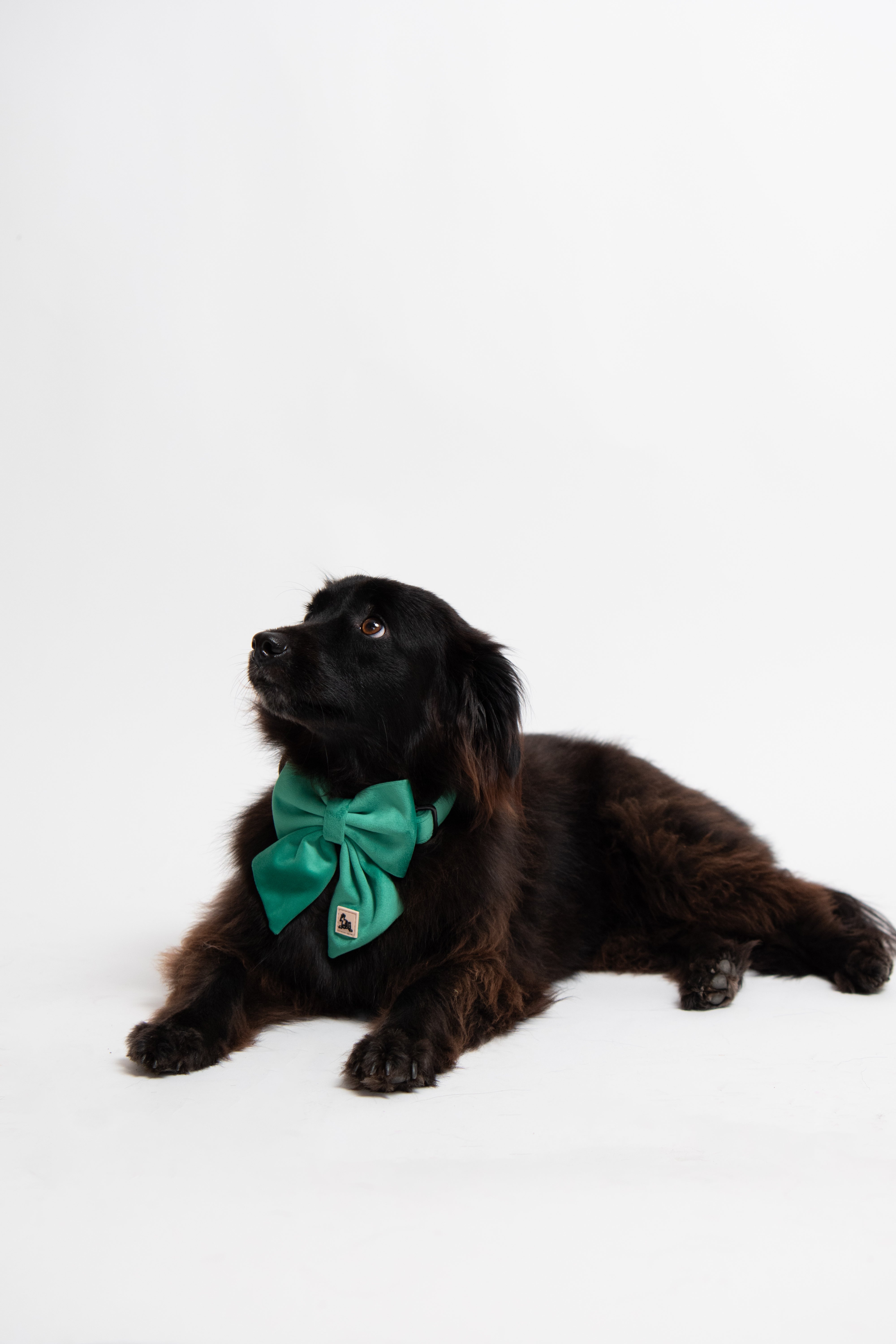 ROYAL GREEN VELVET - BOW