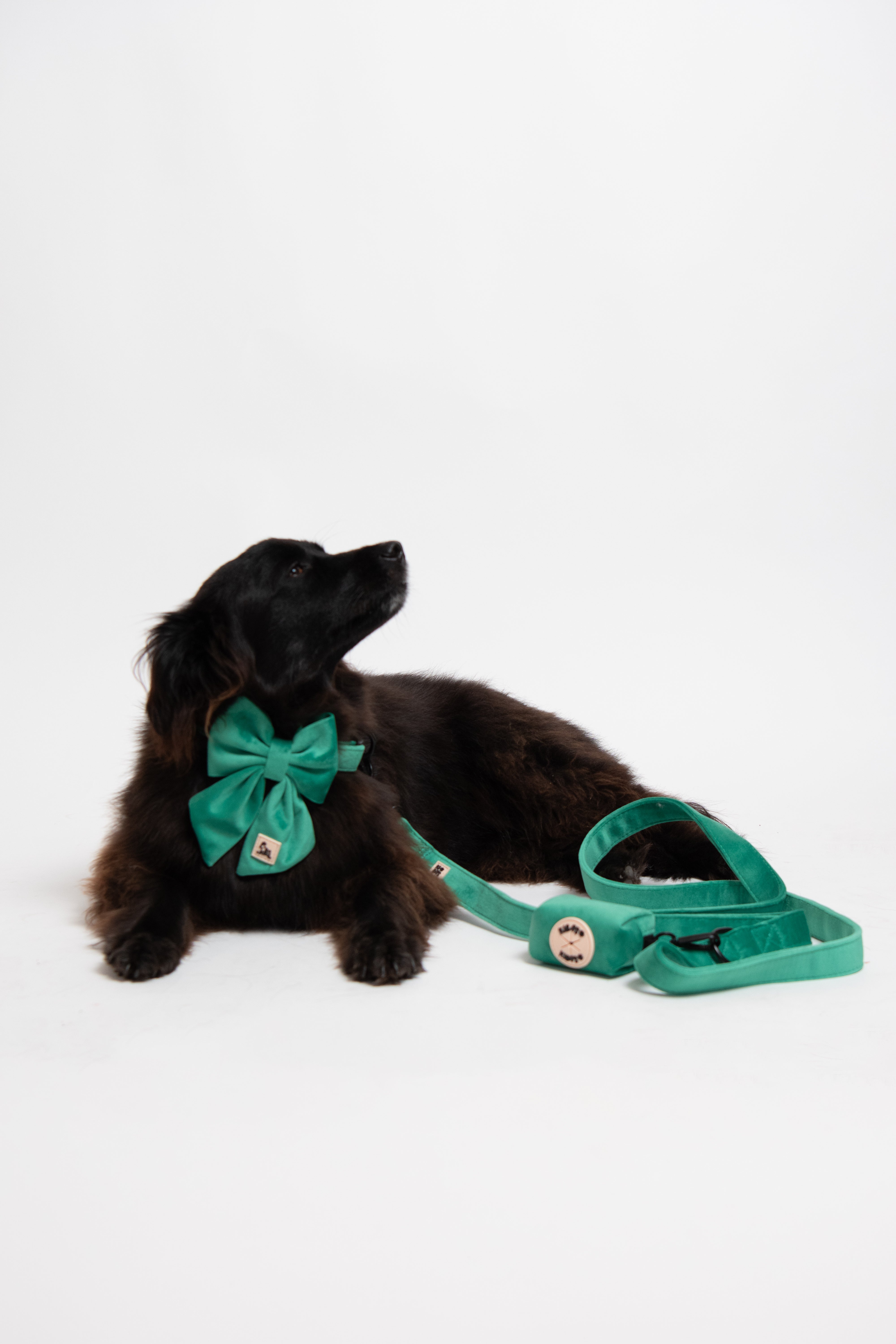 ROYAL GREEN VELVET - POOP BAG HOLDER