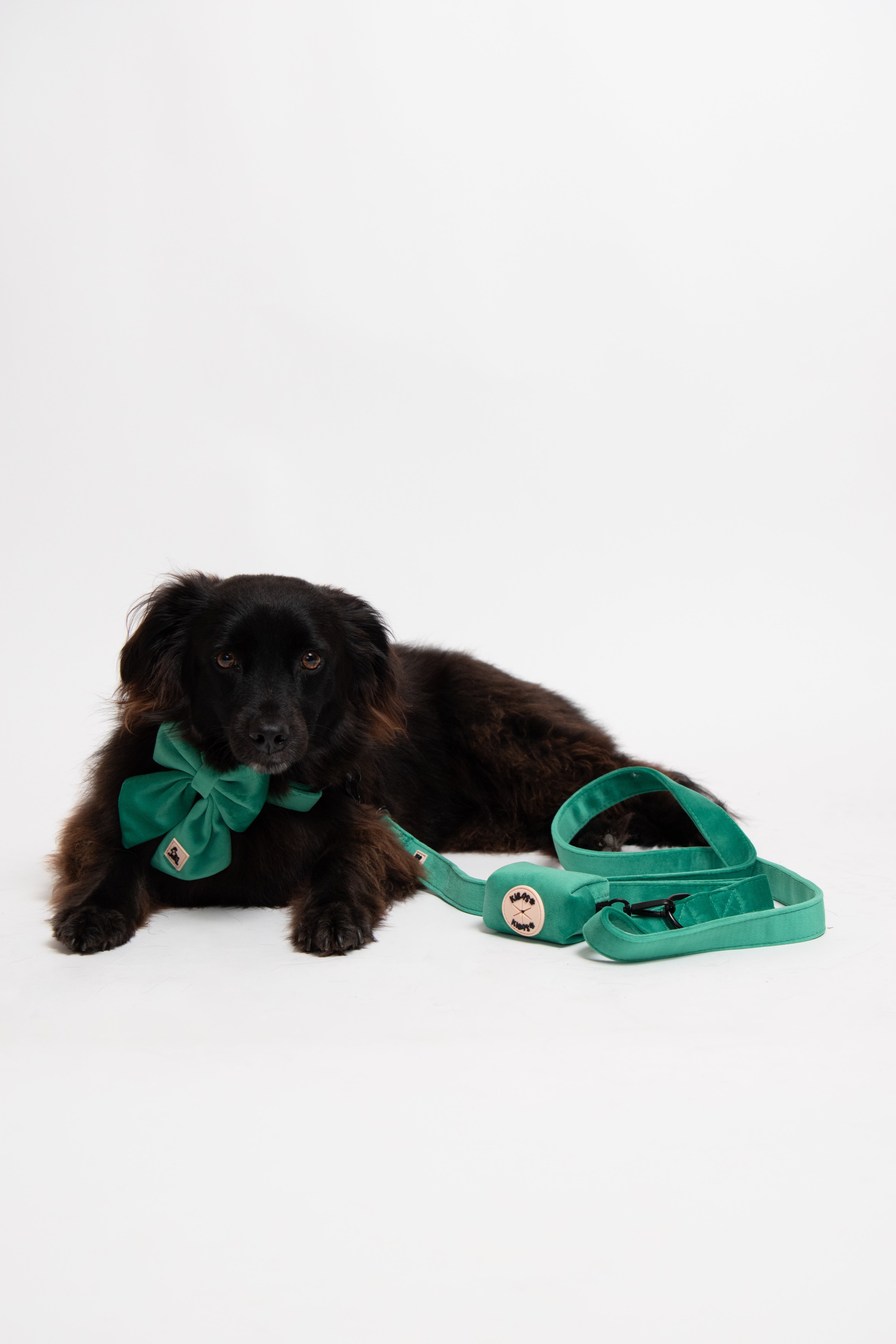 ROYAL GREEN VELVET - POOP BAG HOLDER