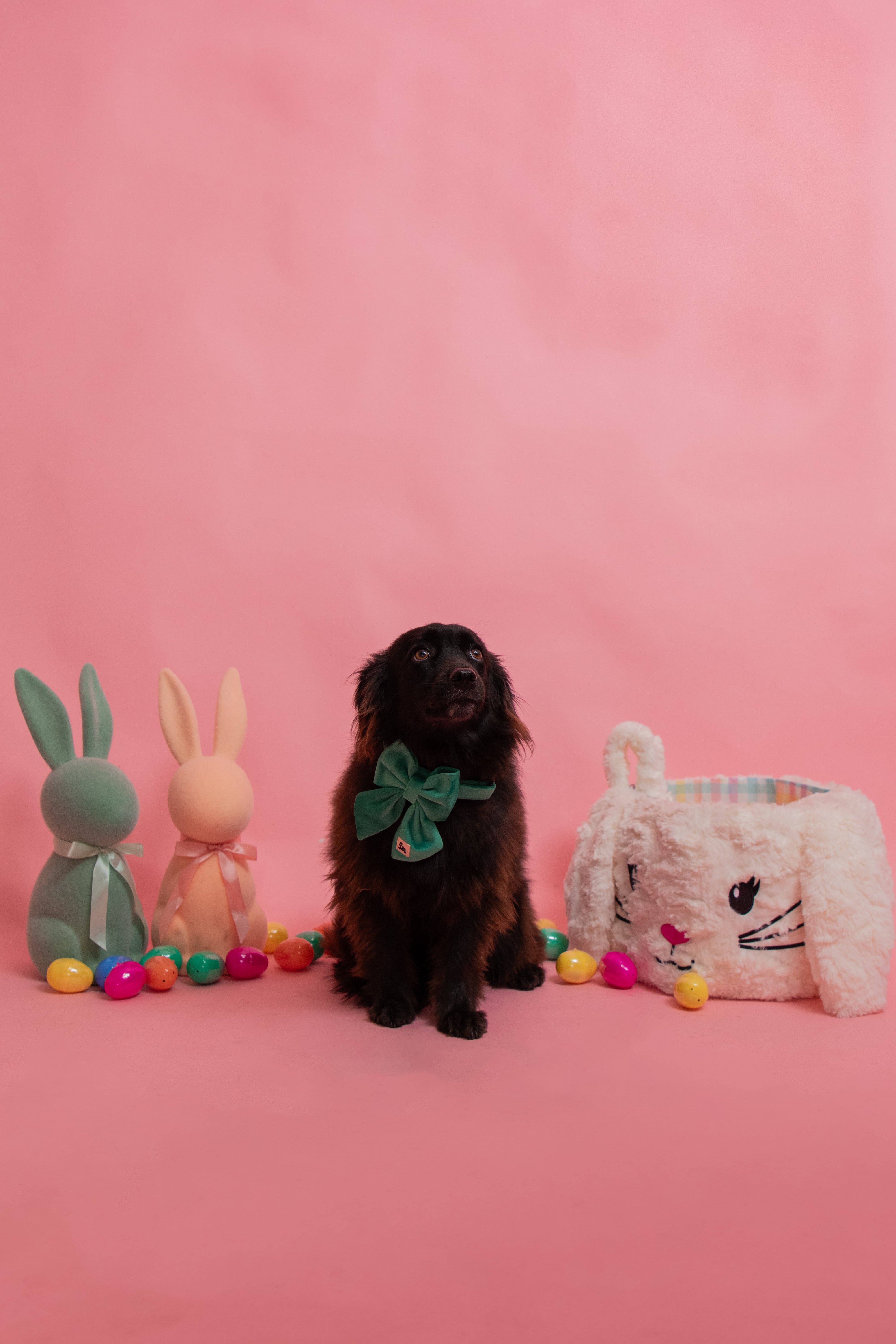 ROYAL GREEN VELVET - BOW