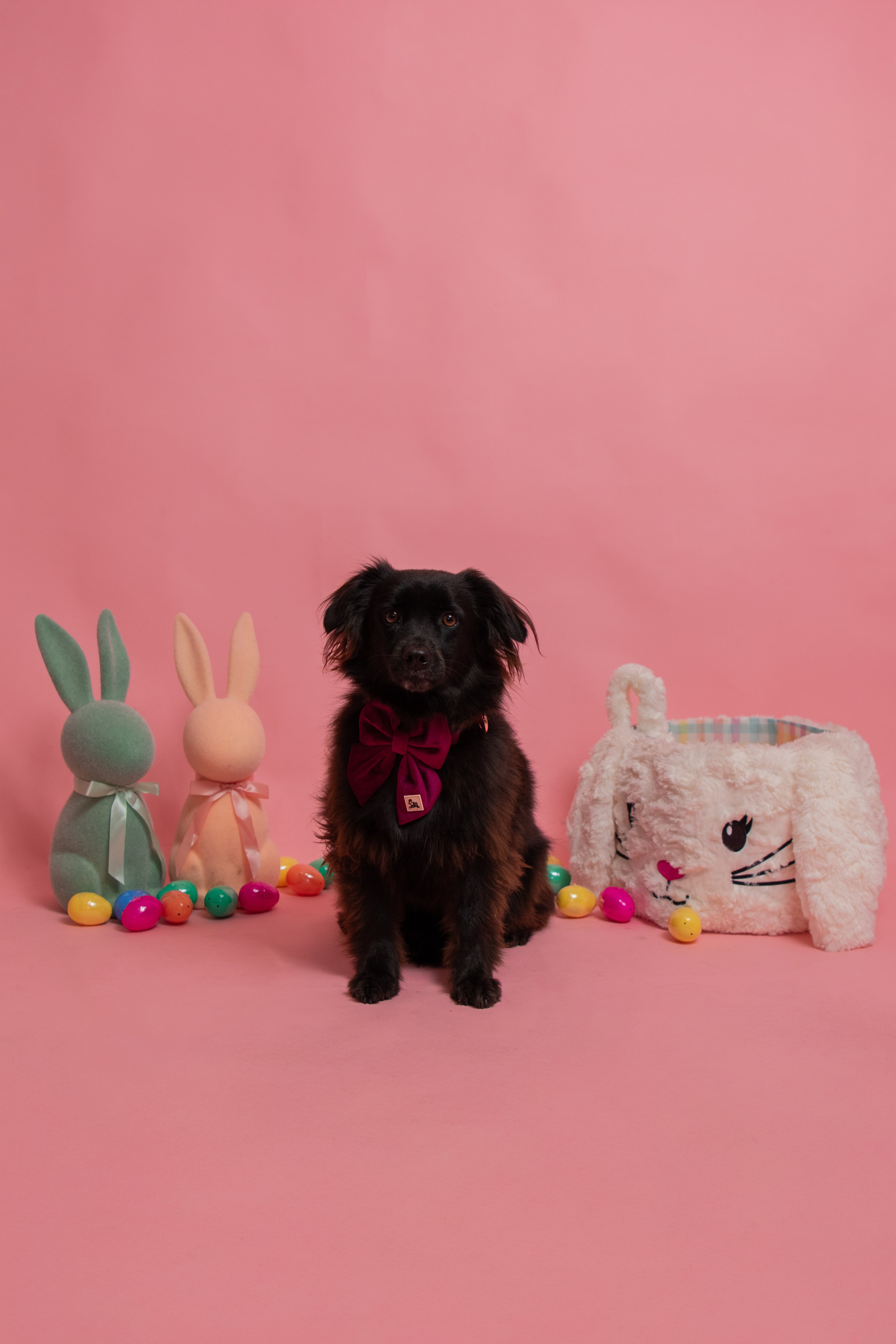 ROYAL LILAC VELVET - BOW