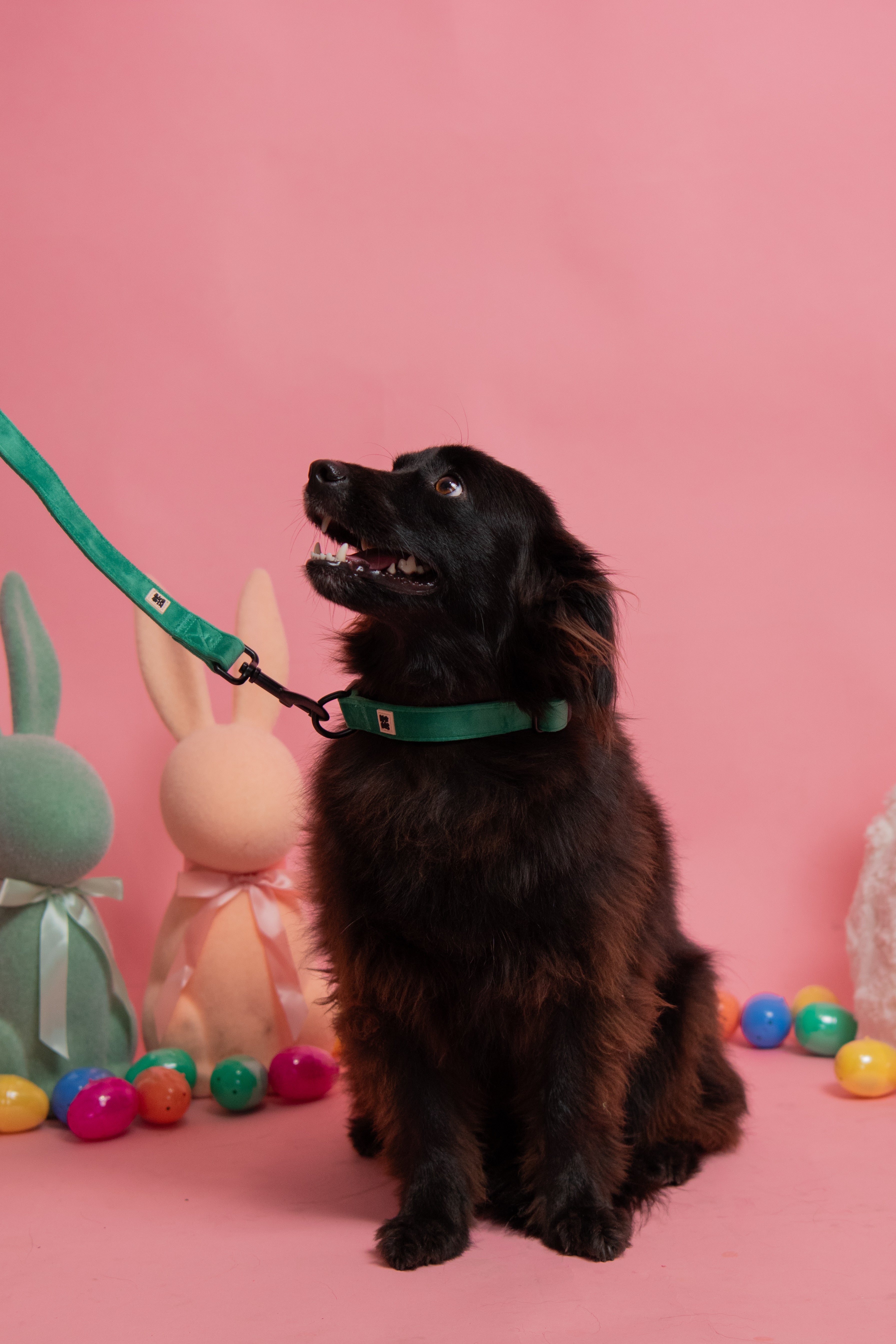 ROYAL GREEN VELVET - LEASH