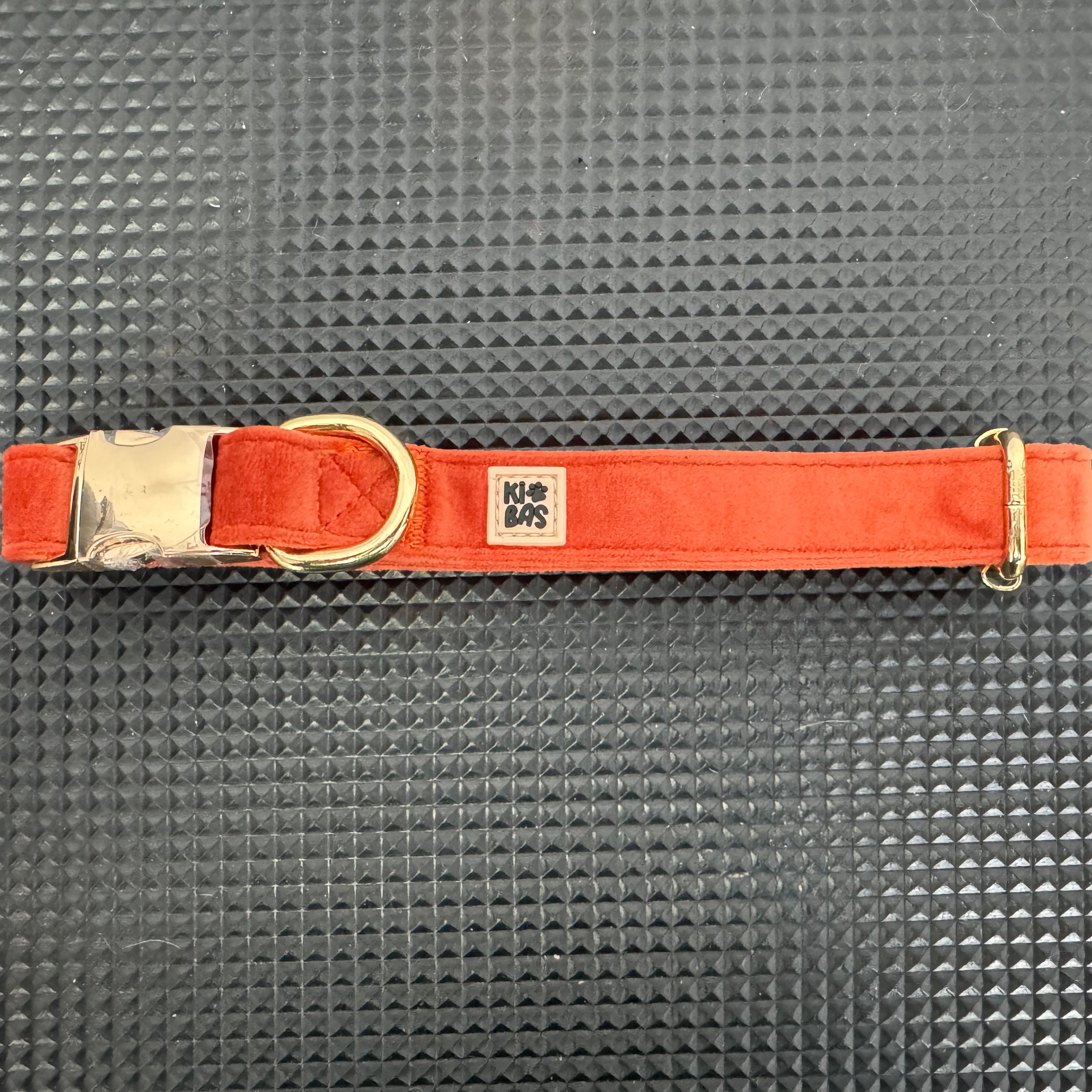 ROYAL SUNSET VELVET - COLLAR