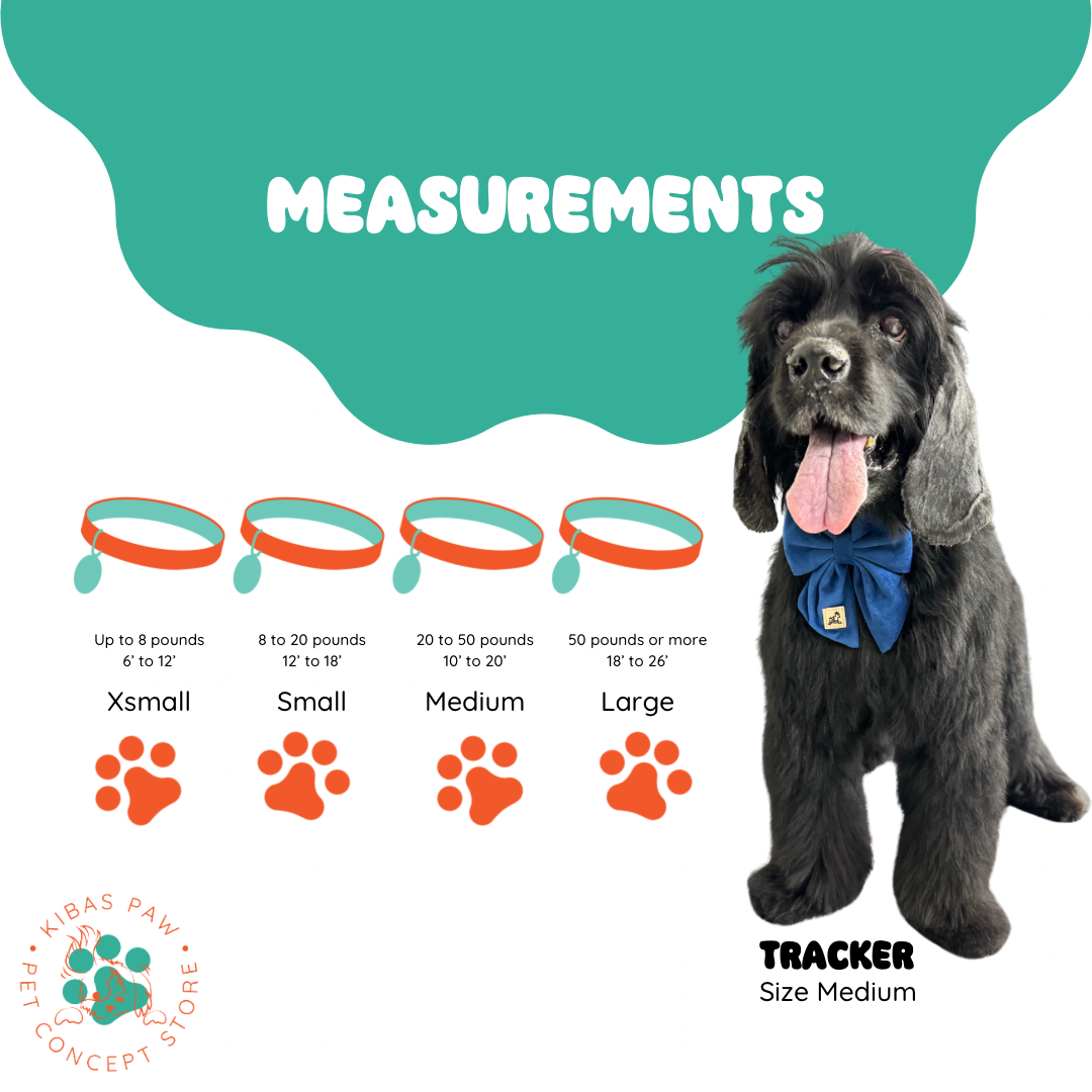 Royal Red Velvet Set