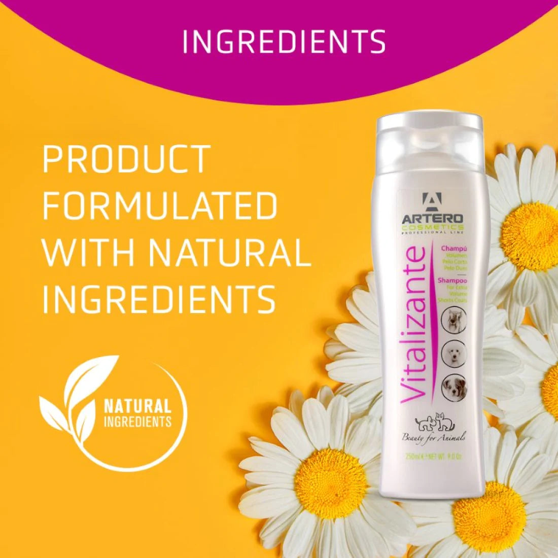 Artero Vitalizante Shampoo