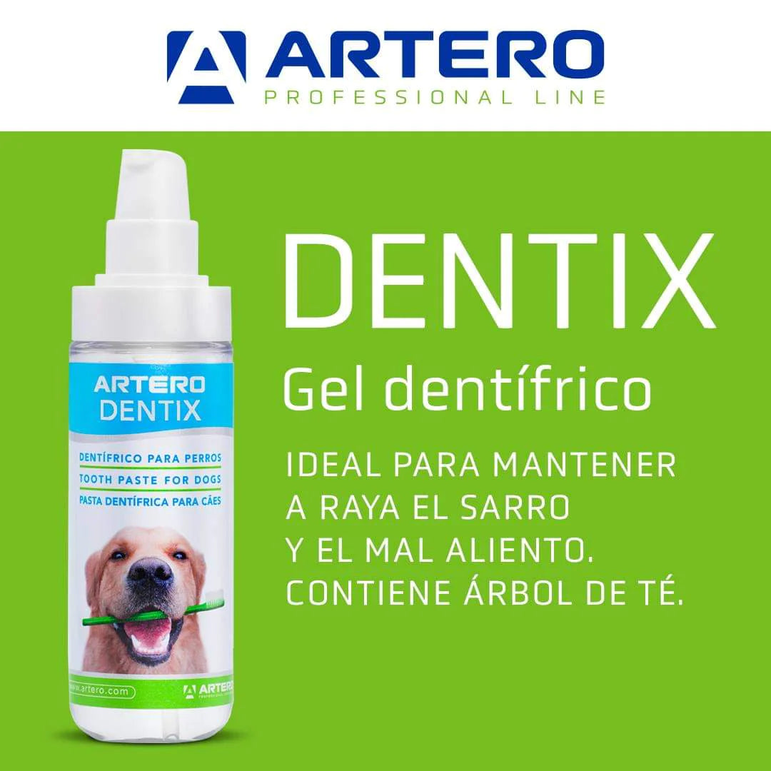 Artero Dentix