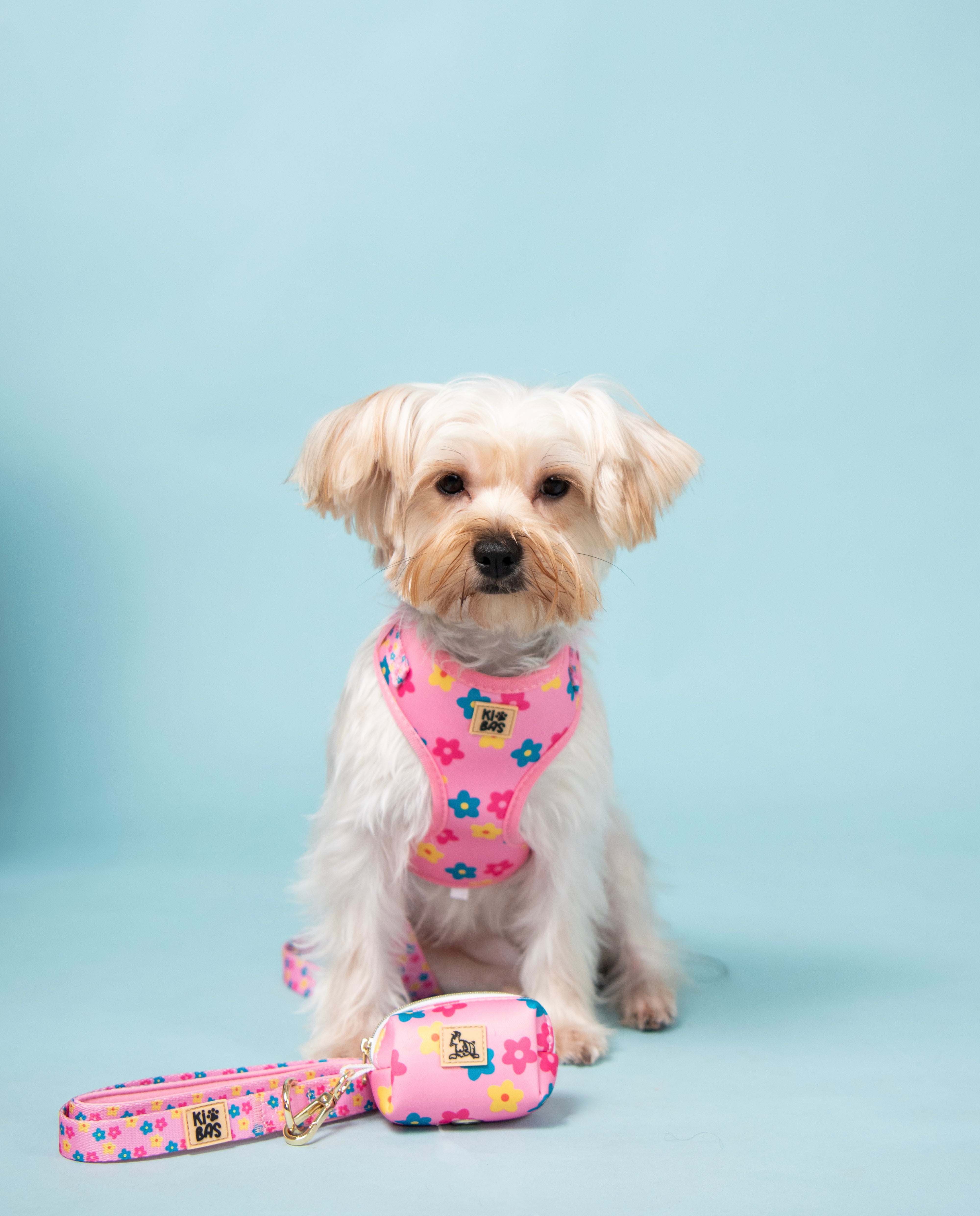 Daisys Harness Set