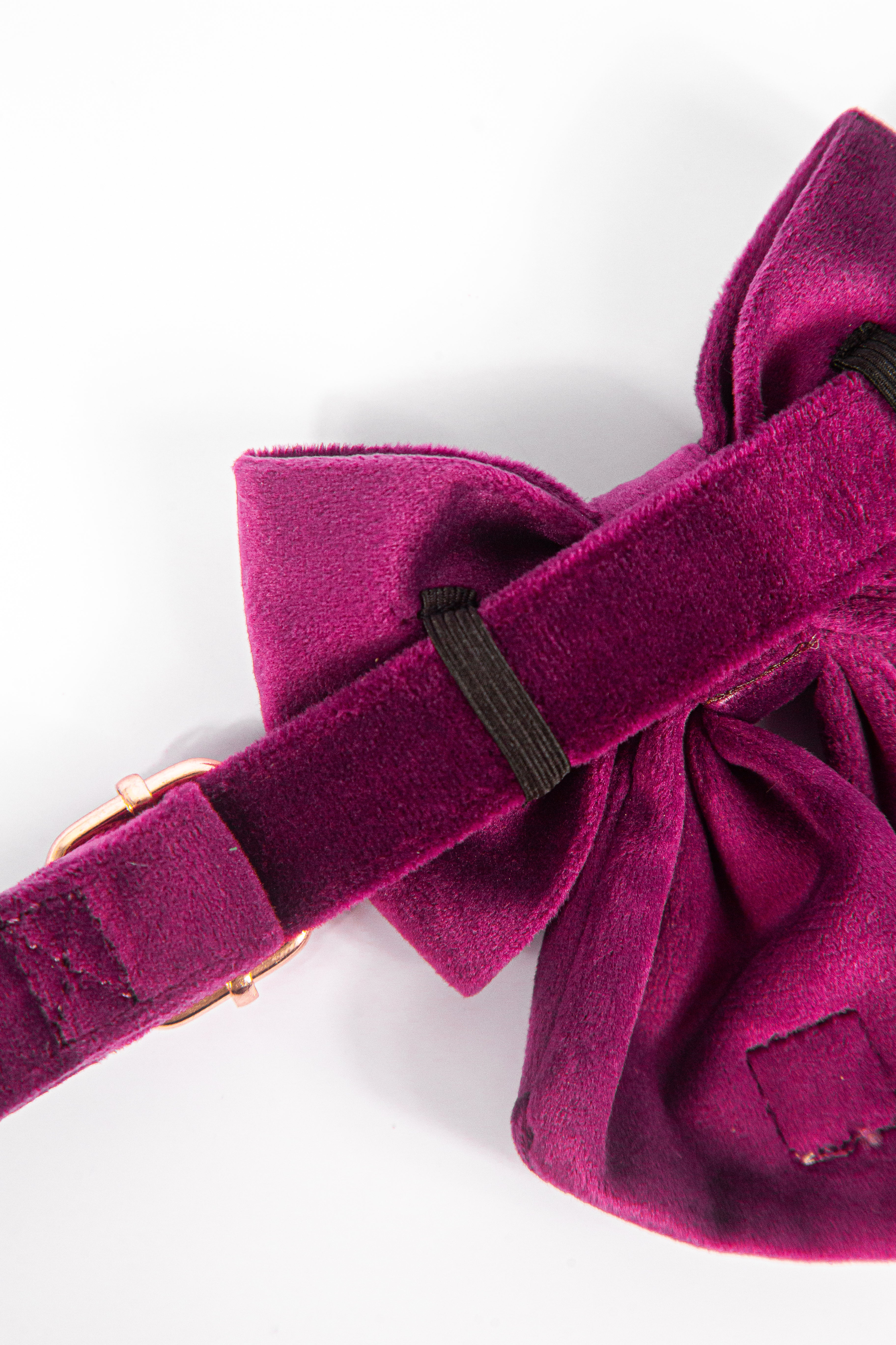 Royal Lilac Collar + Bow Set