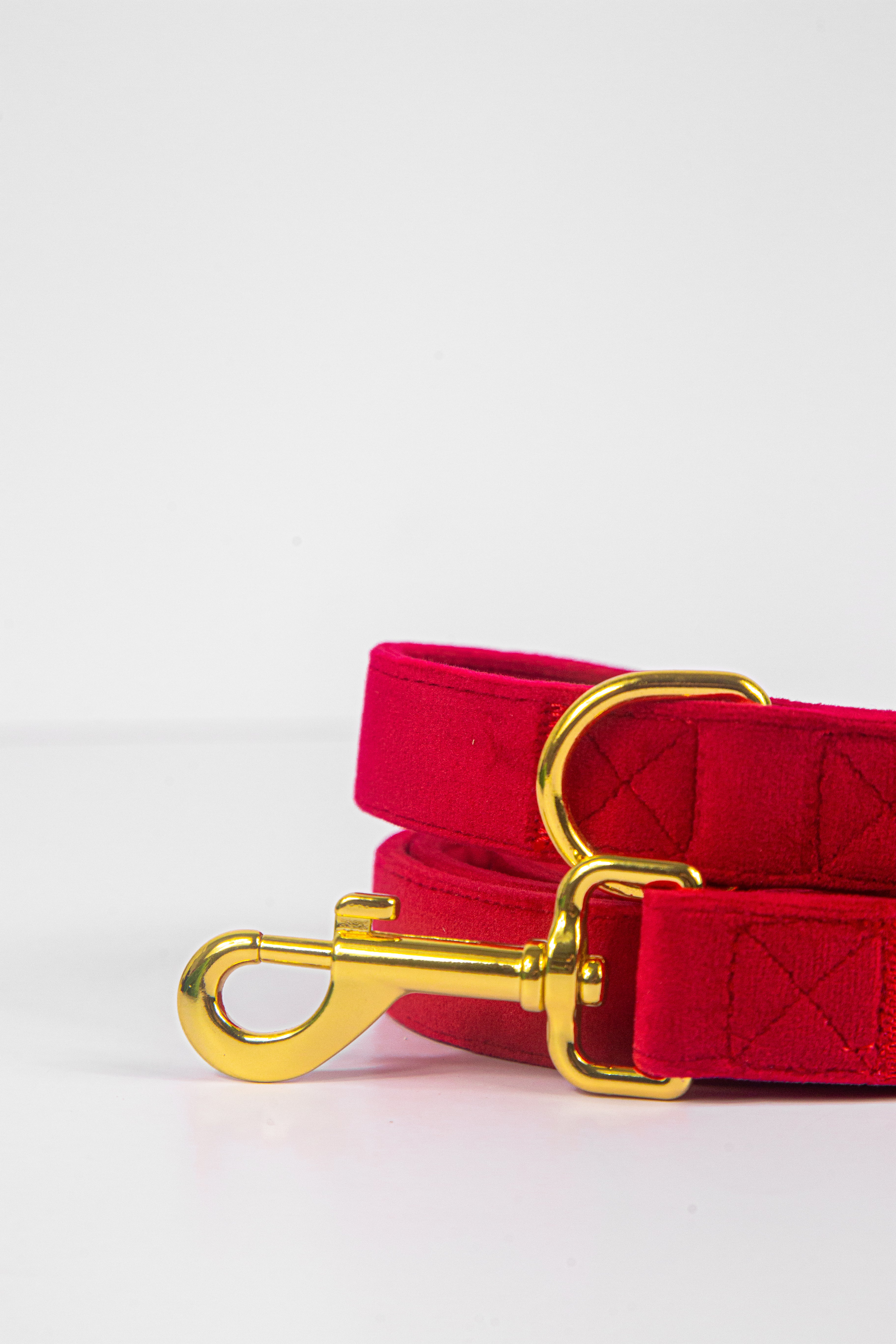 Royal Red Leash + Poop Bag Set