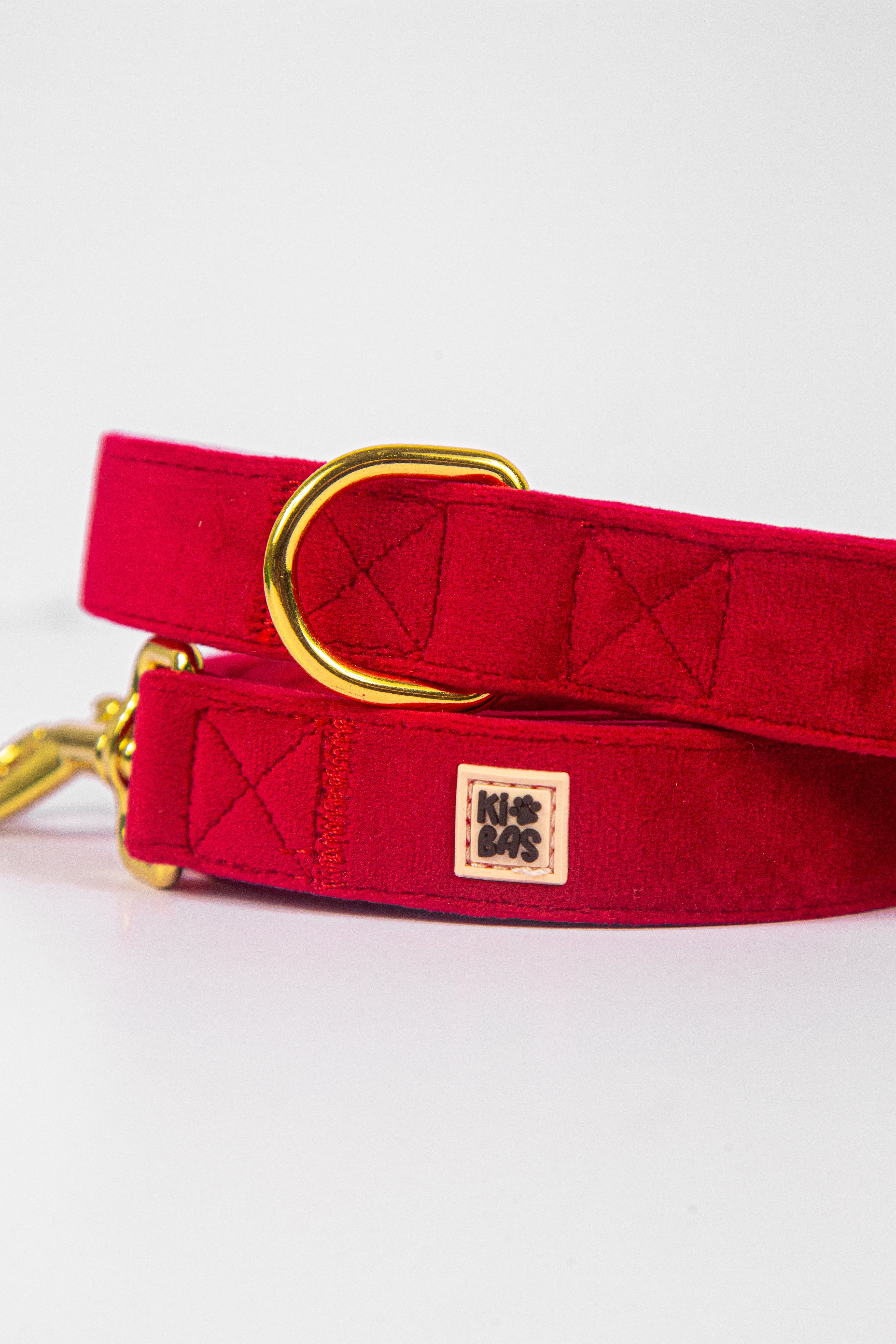 Royal Red Leash + Poop Bag Set