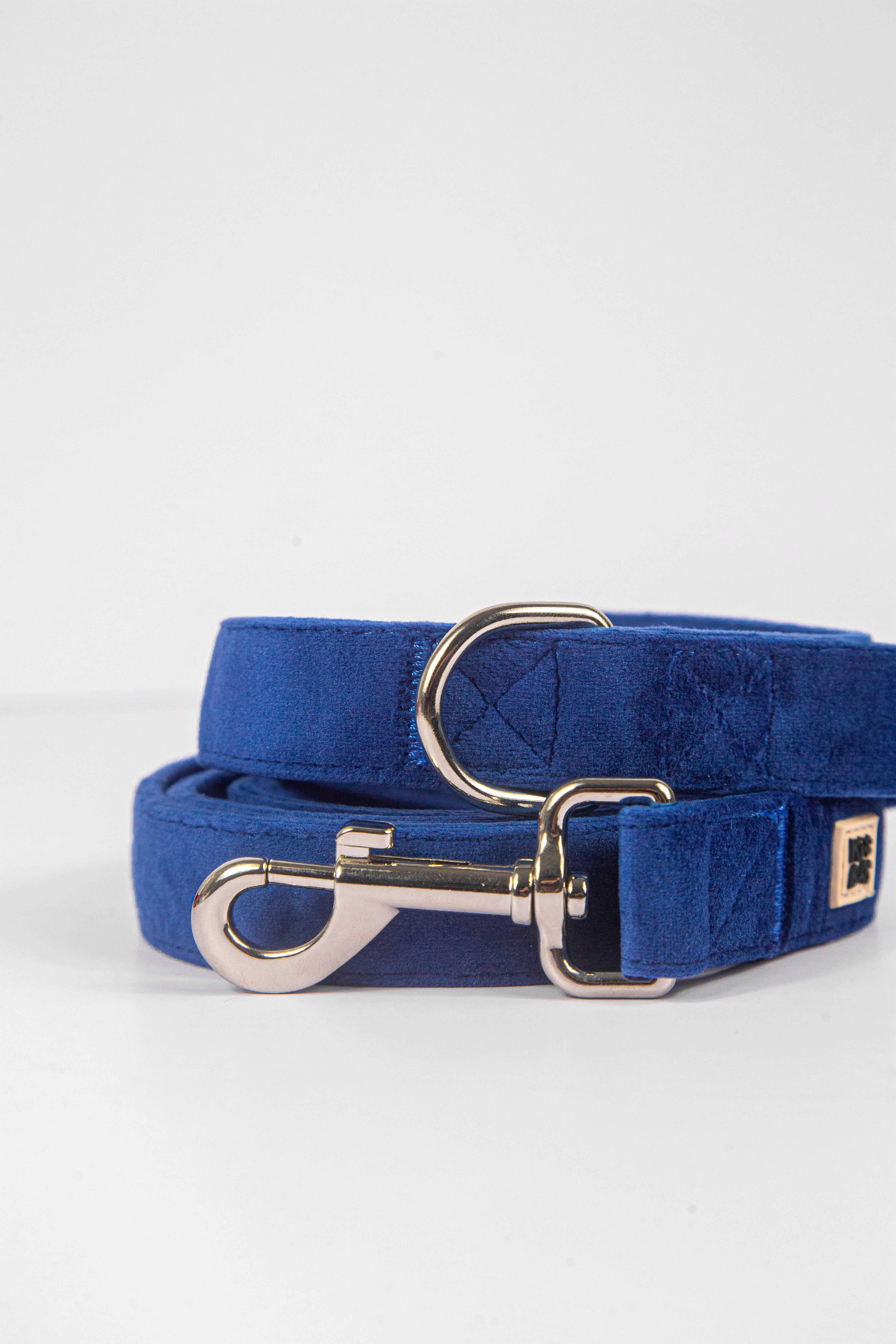 Royal Blue Collar + Leash Set