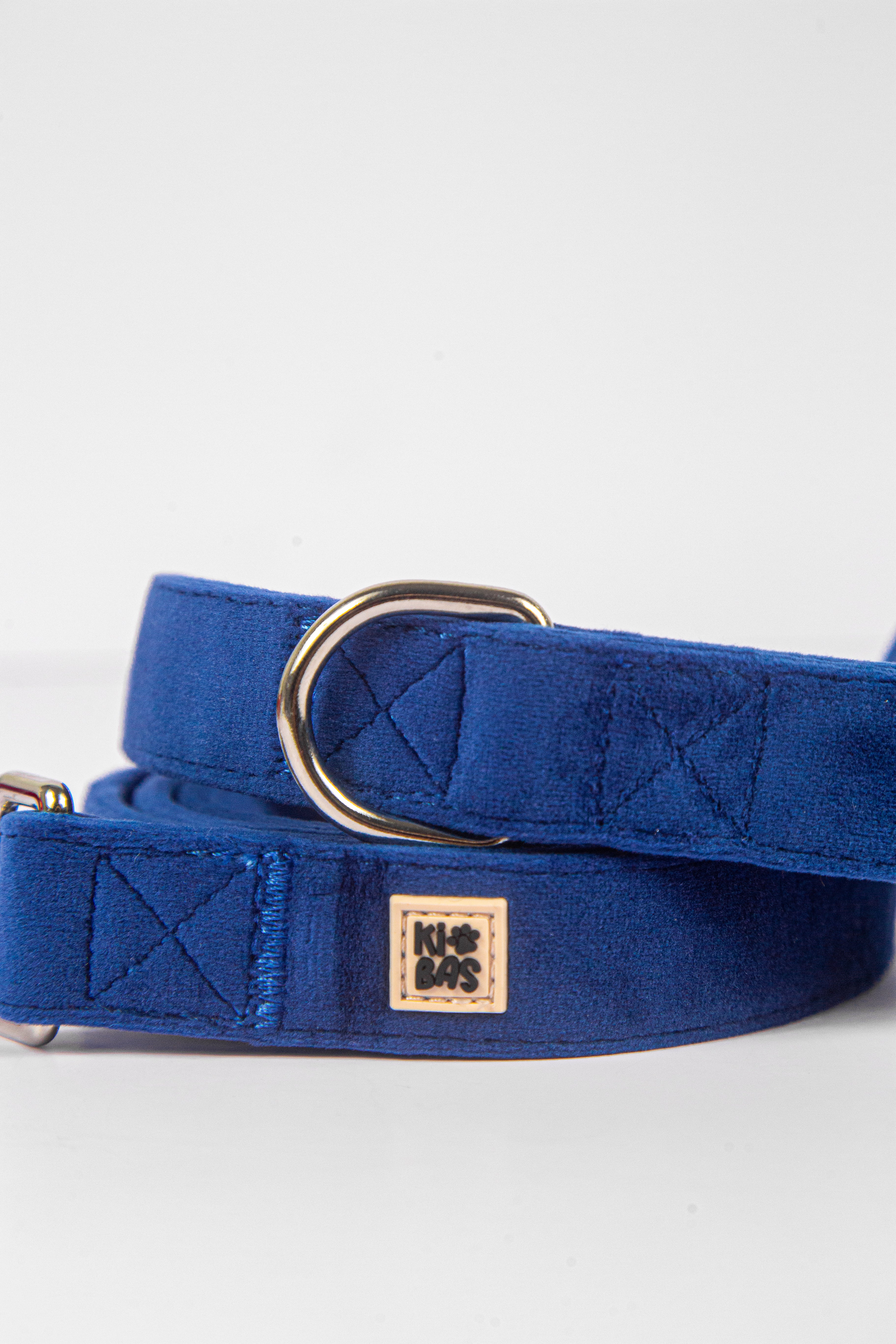 Royal Blue Collar + Leash Set