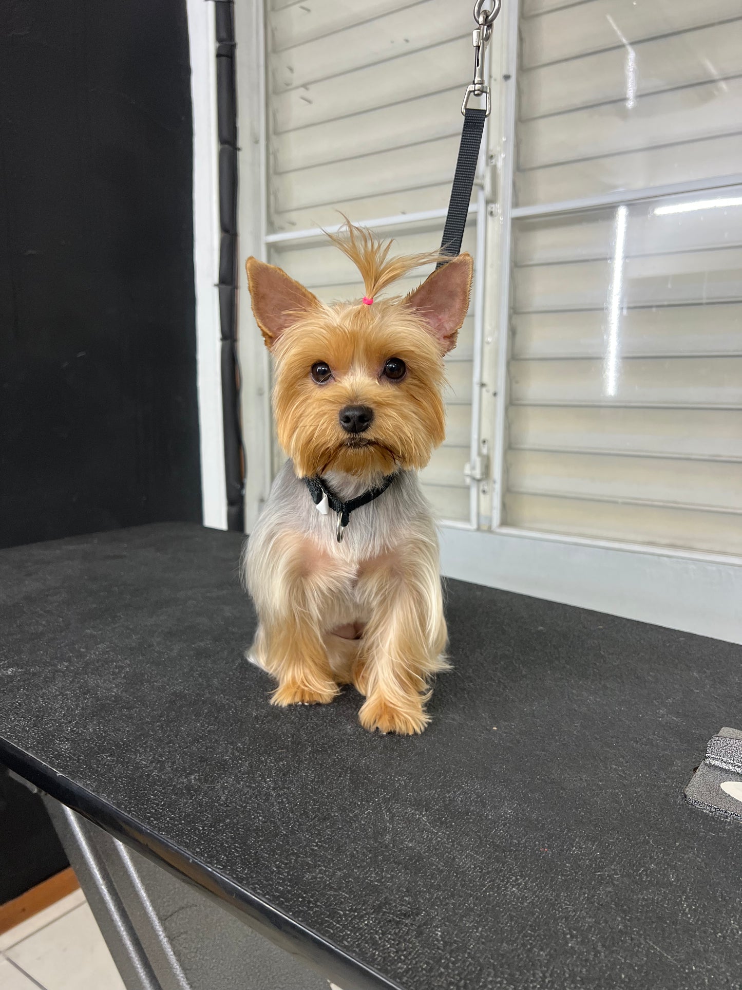 Pequeño