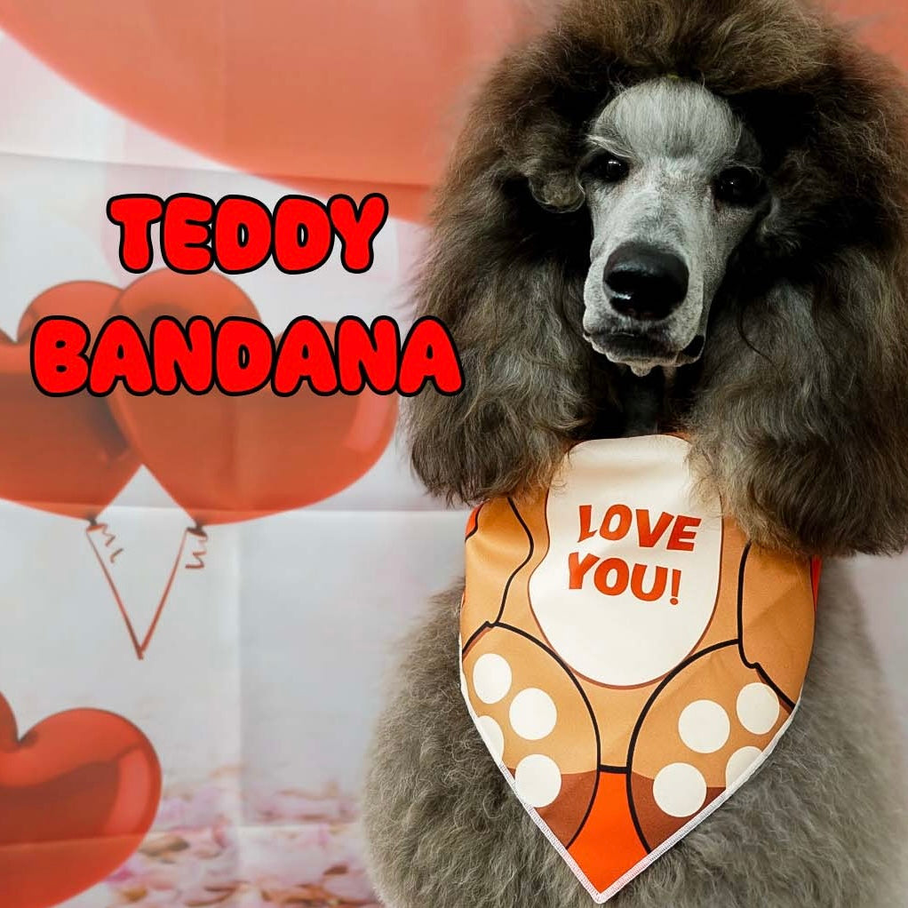 Teddy Bandana