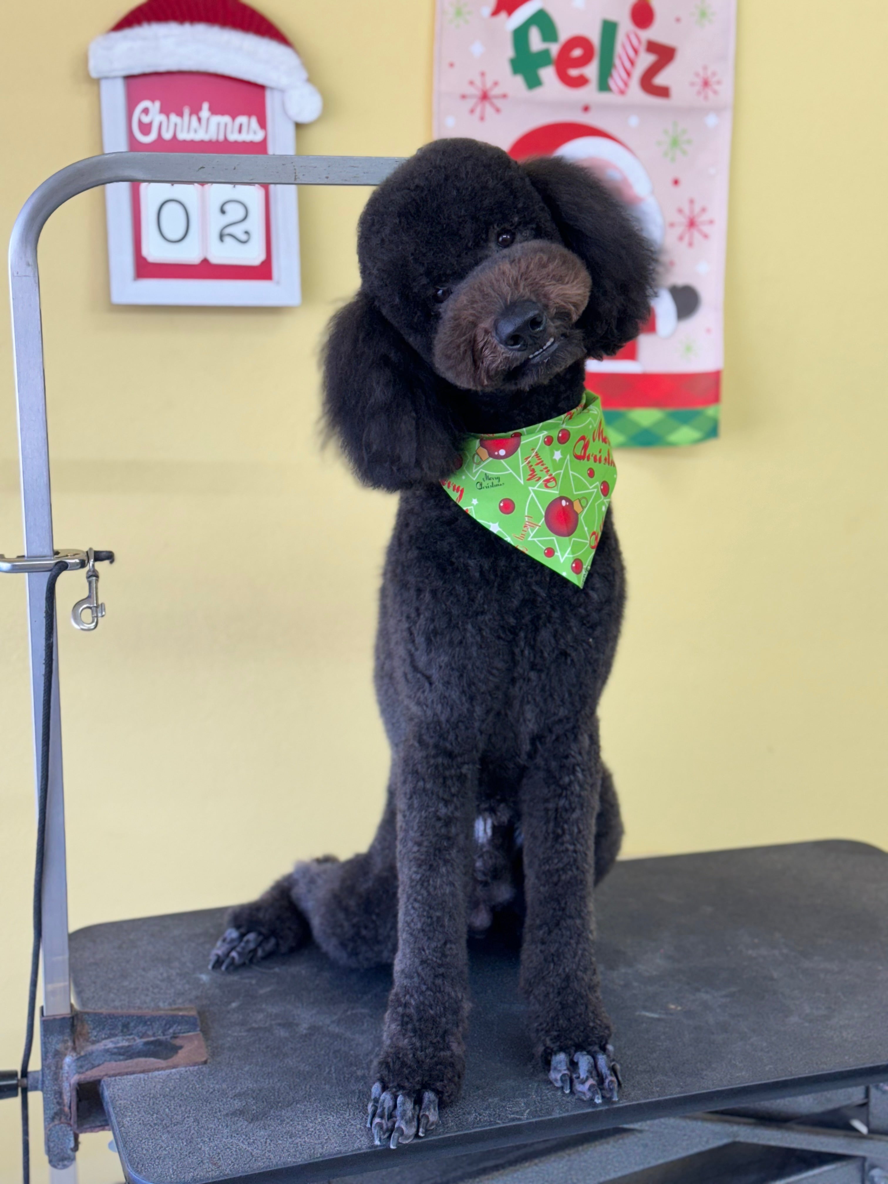 Básico Plus Trim: Perro Grande Pelo Largo