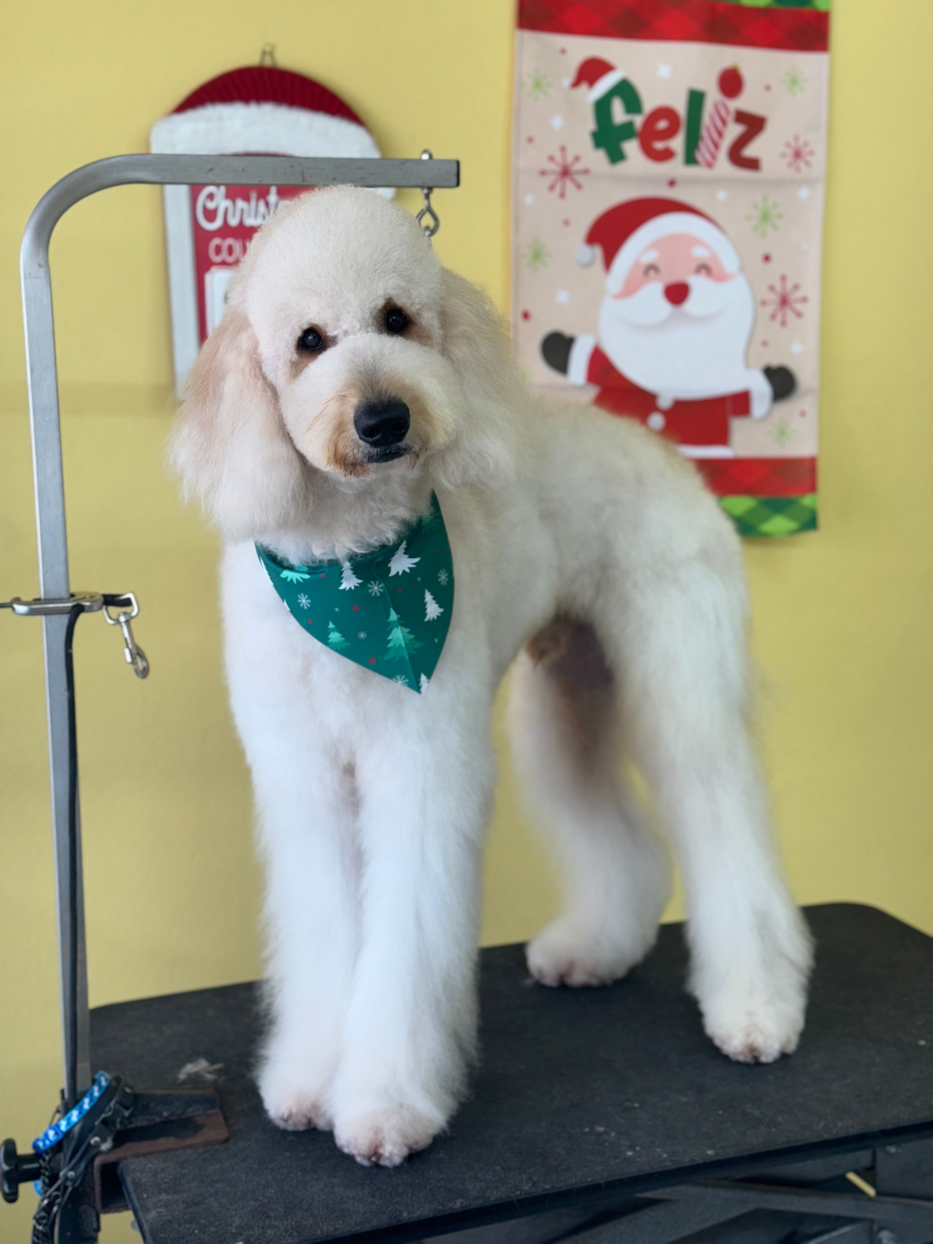 Básico Plus Trim: Perro Grande Pelo Largo