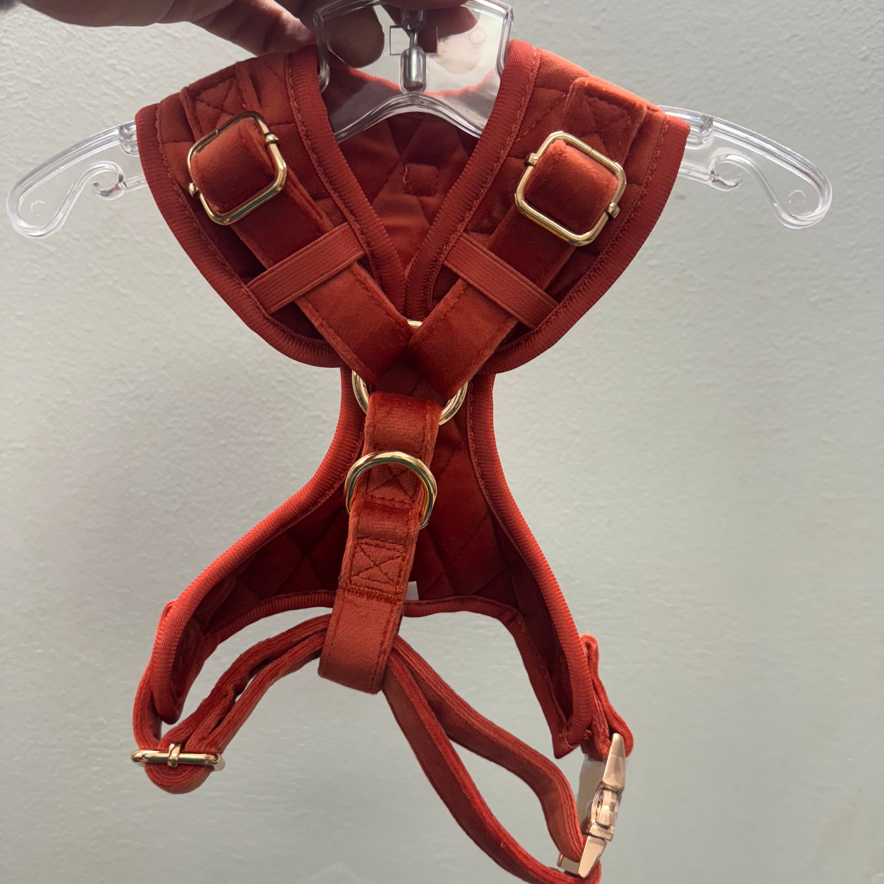 ROYAL SUNSET VELVET - HARNESS