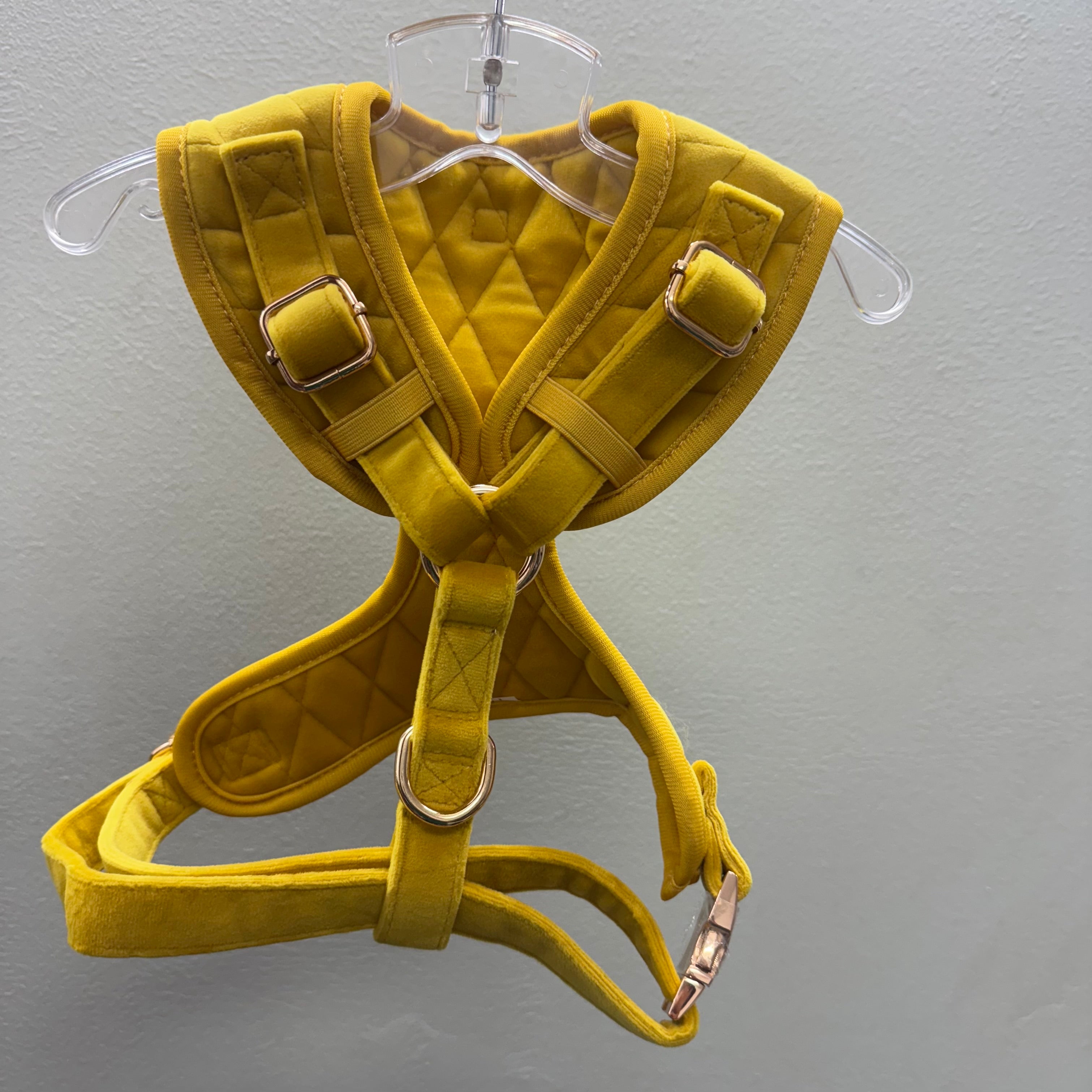 ROYAL BRIGHT YELLOW VELVET - HARNESS