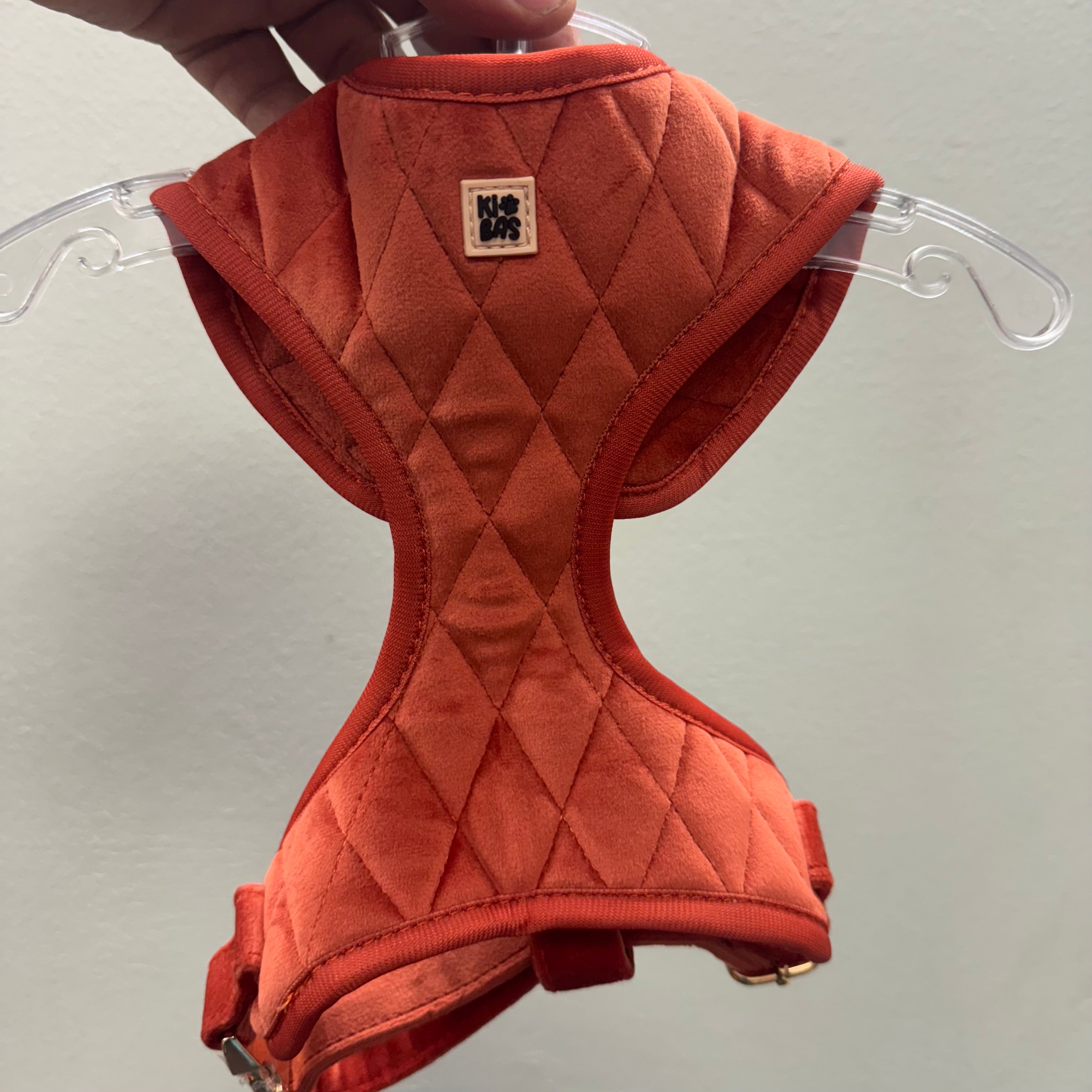 ROYAL SUNSET VELVET - HARNESS