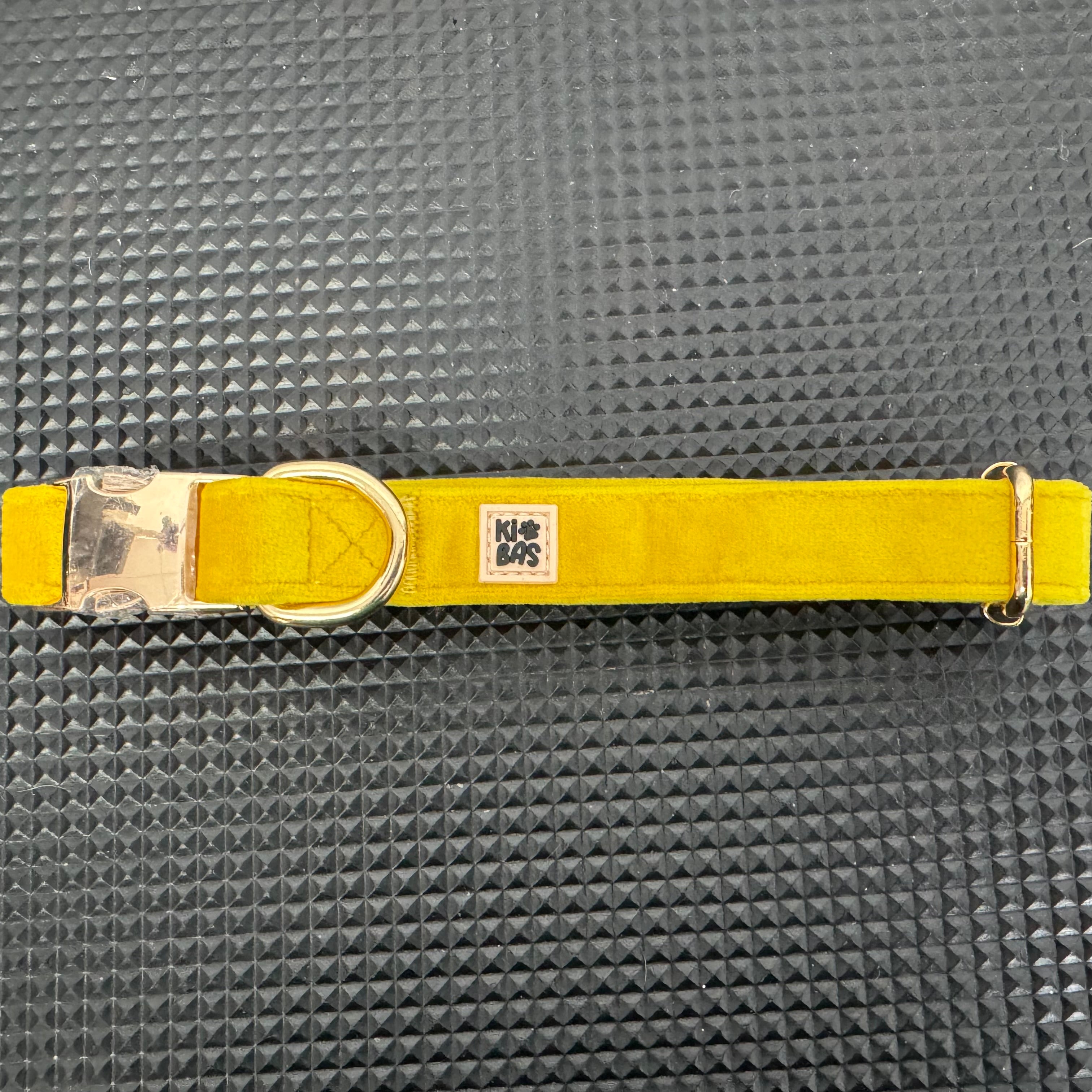 ROYAL BRIGHT YELLOW VELVET - COLLAR