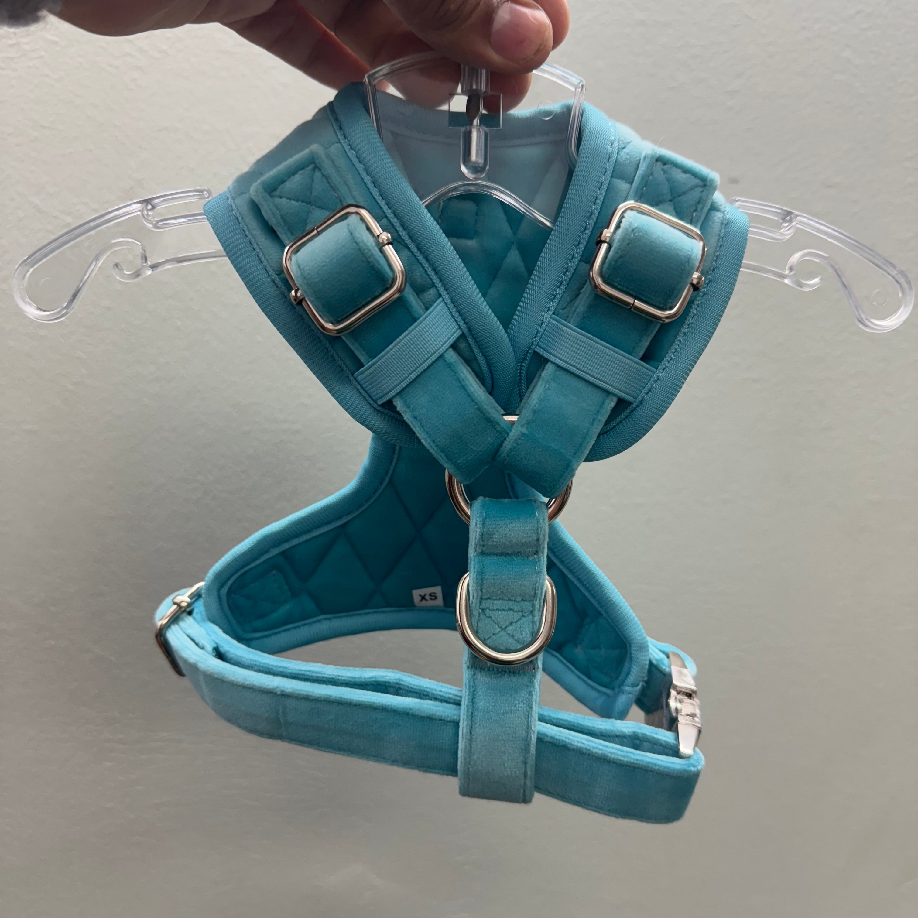 ROYAL SKY BLUE VELVET - HARNESS