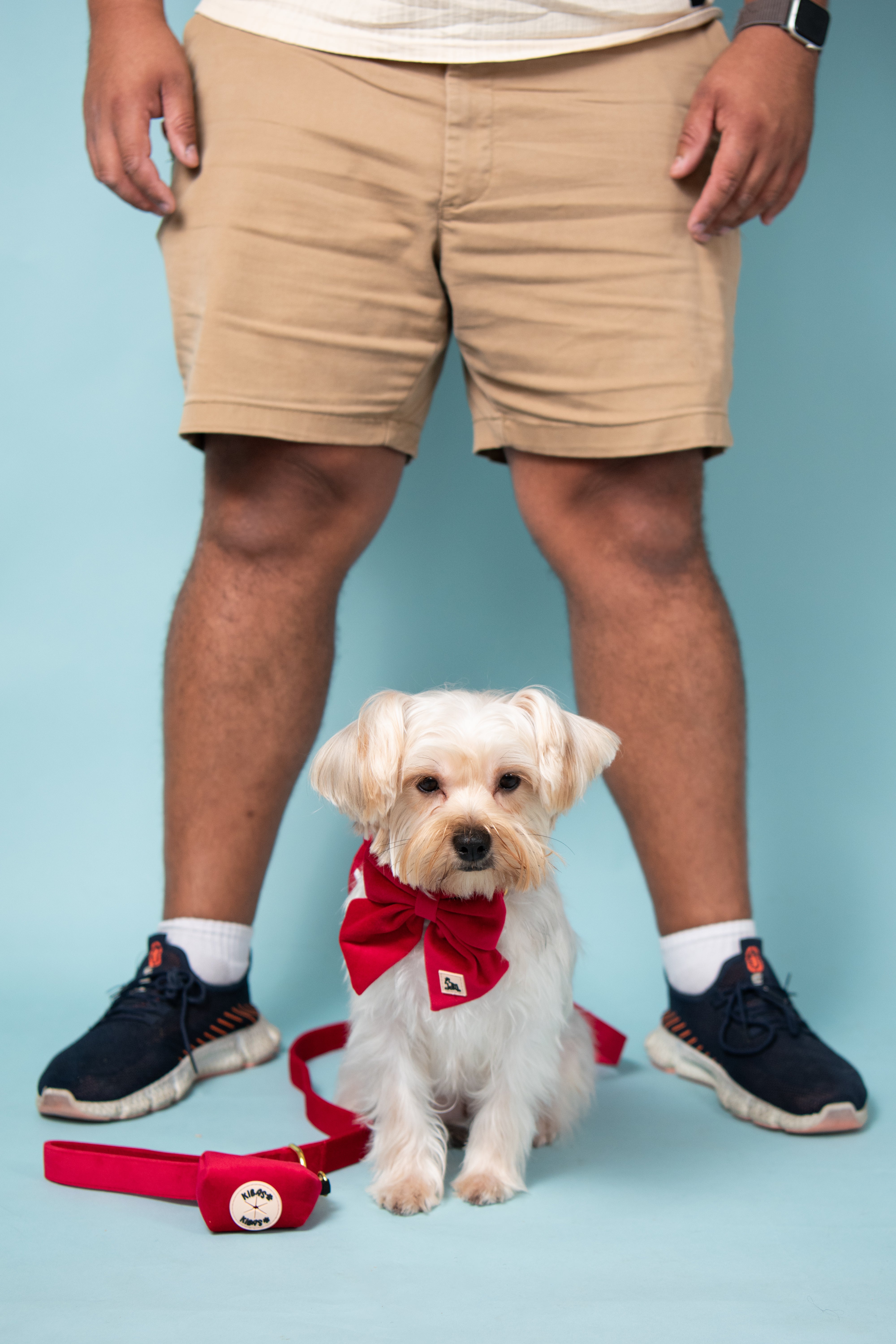 Royal Red Leash + Poop Bag Set