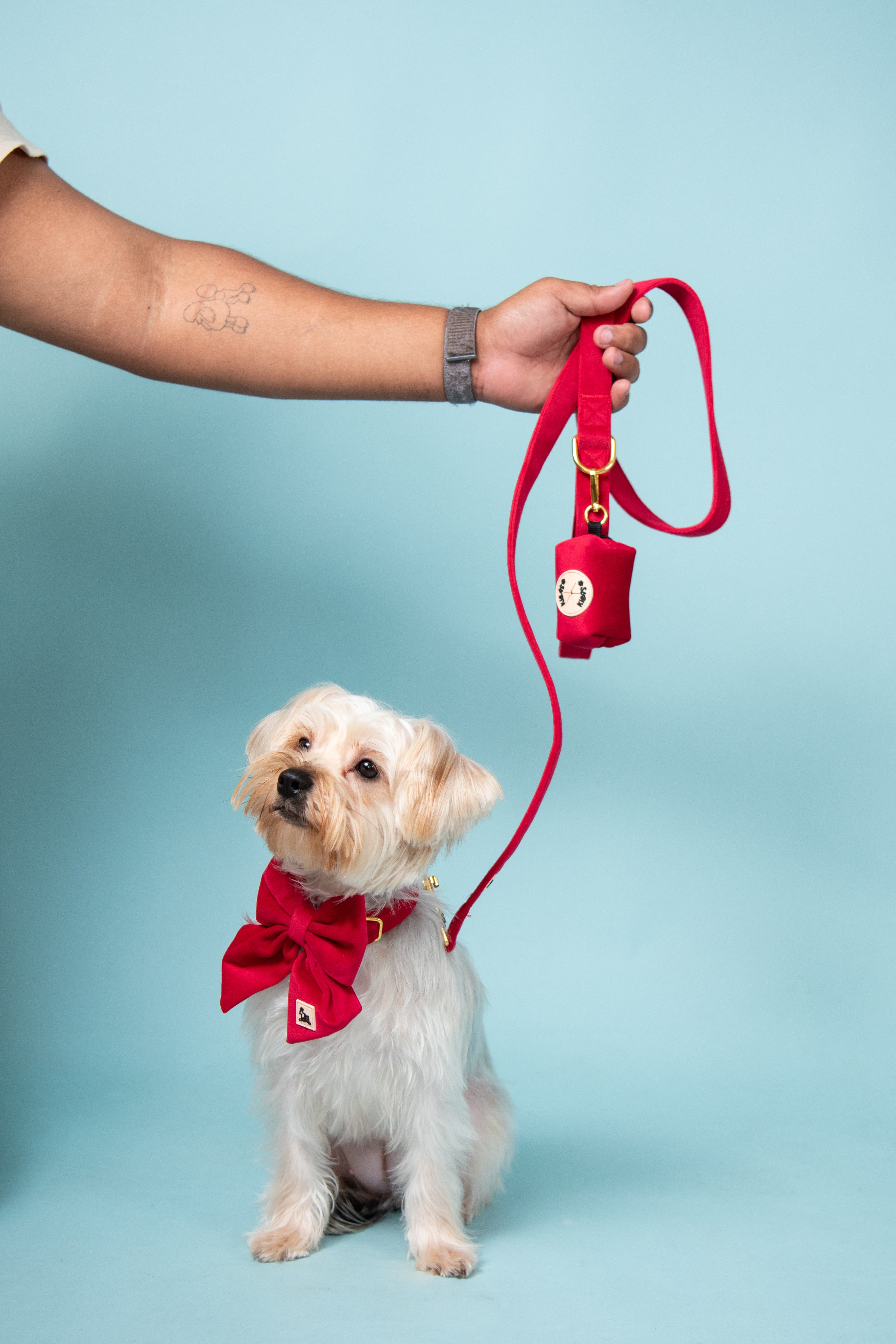 Royal Red Leash + Poop Bag Set