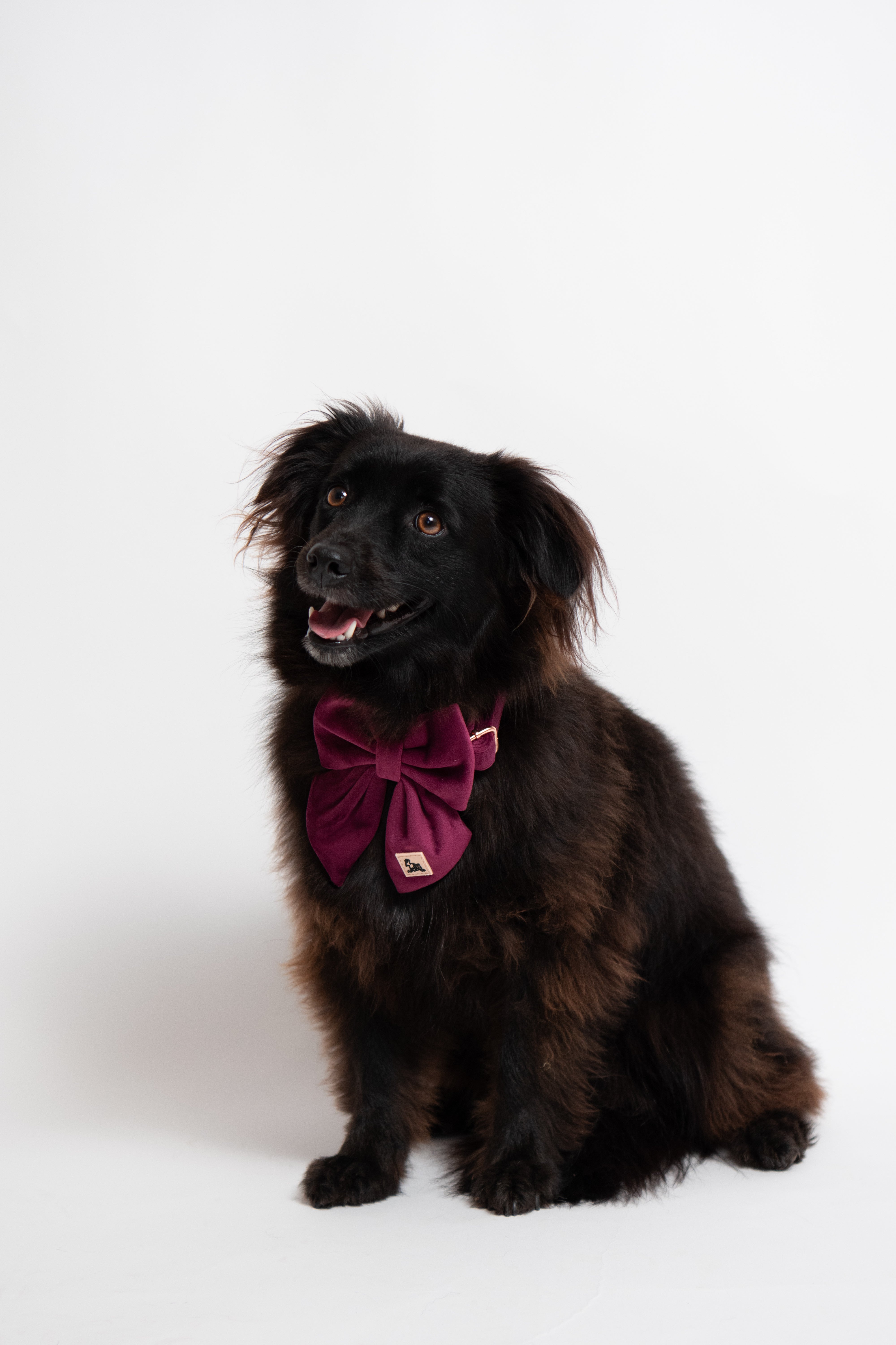 ROYAL LILAC VELVET - SAILOR BOW