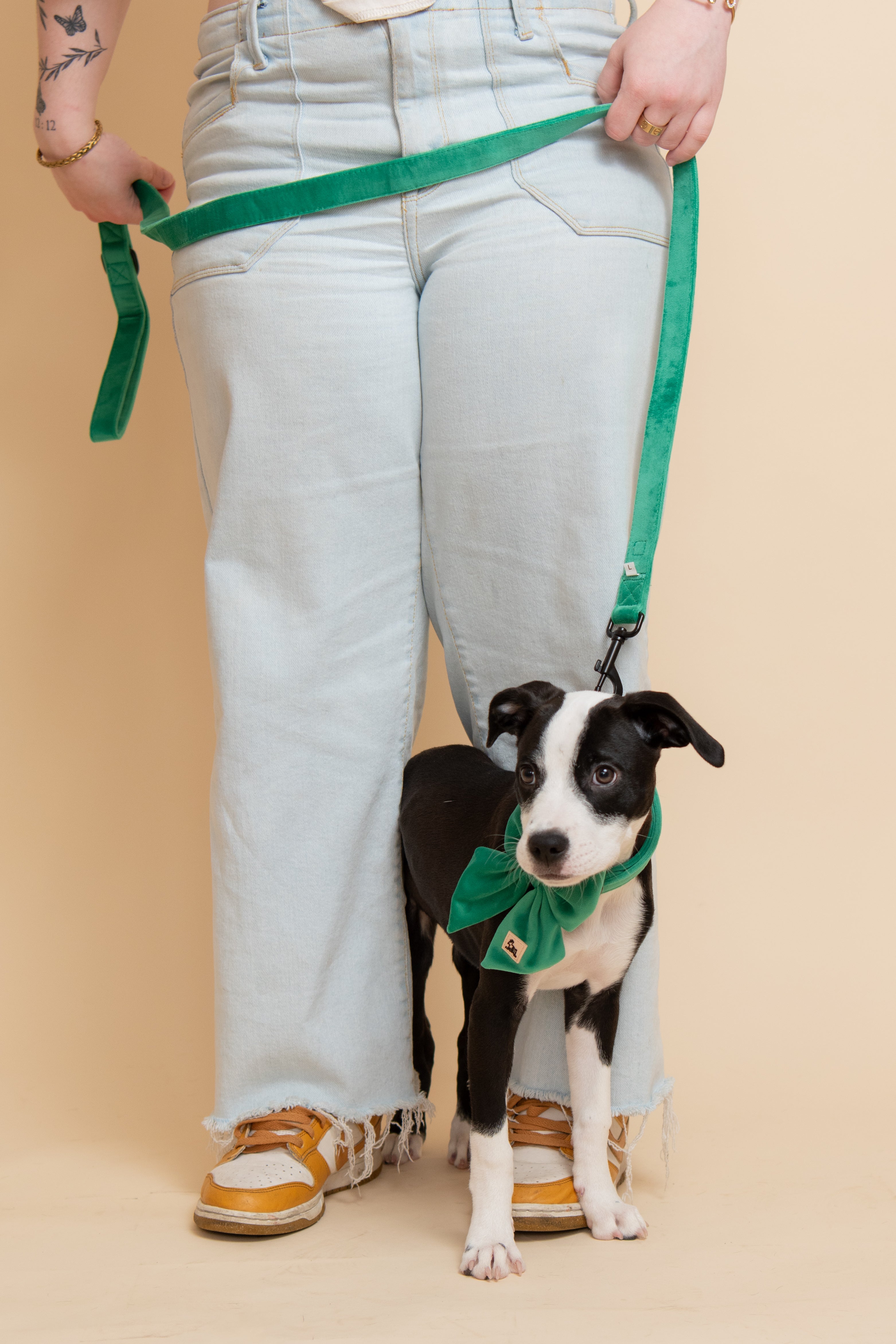Royal Green Leash + Poop Bag Set