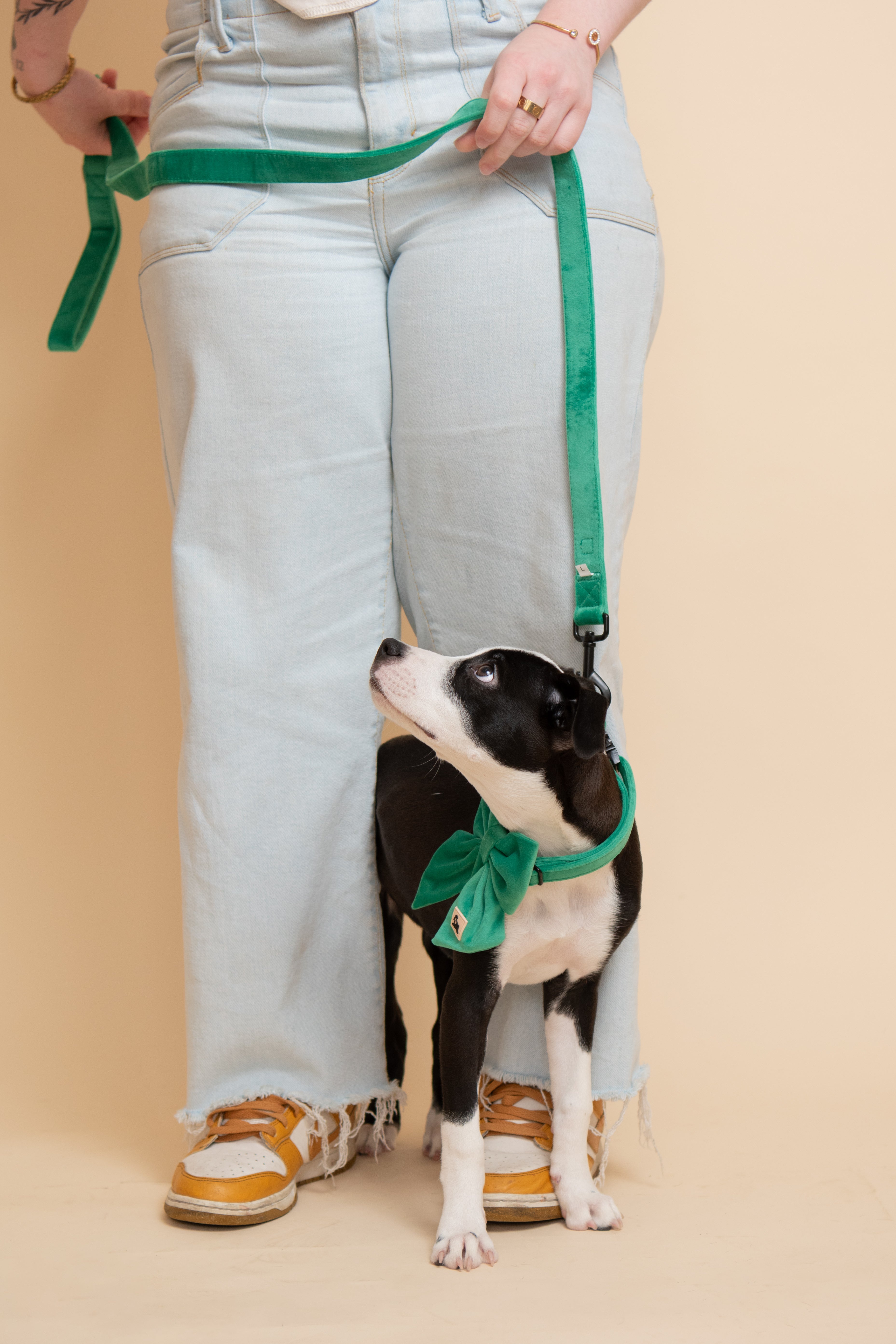 Royal Green Leash + Poop Bag Set