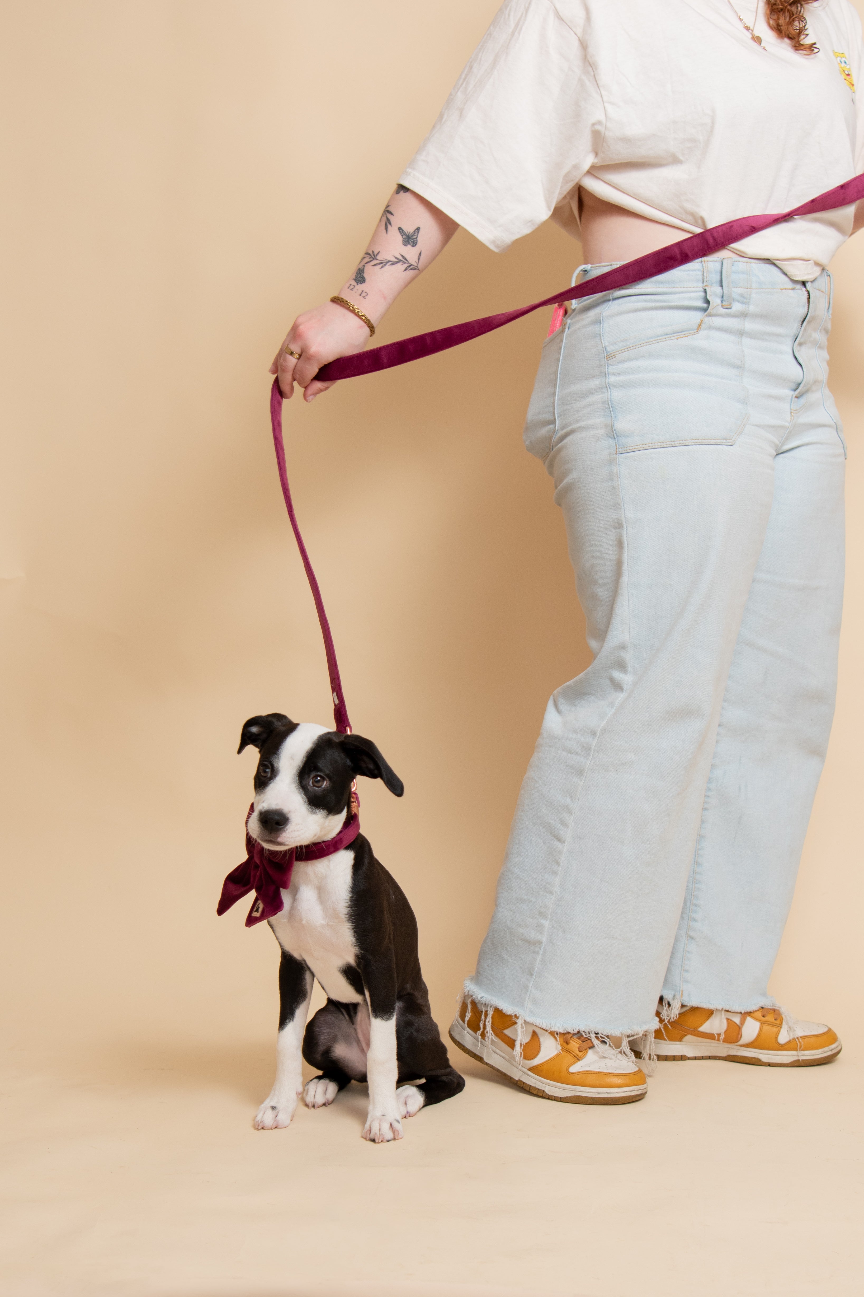 Royal Lilac Leash y Poop Bag Set