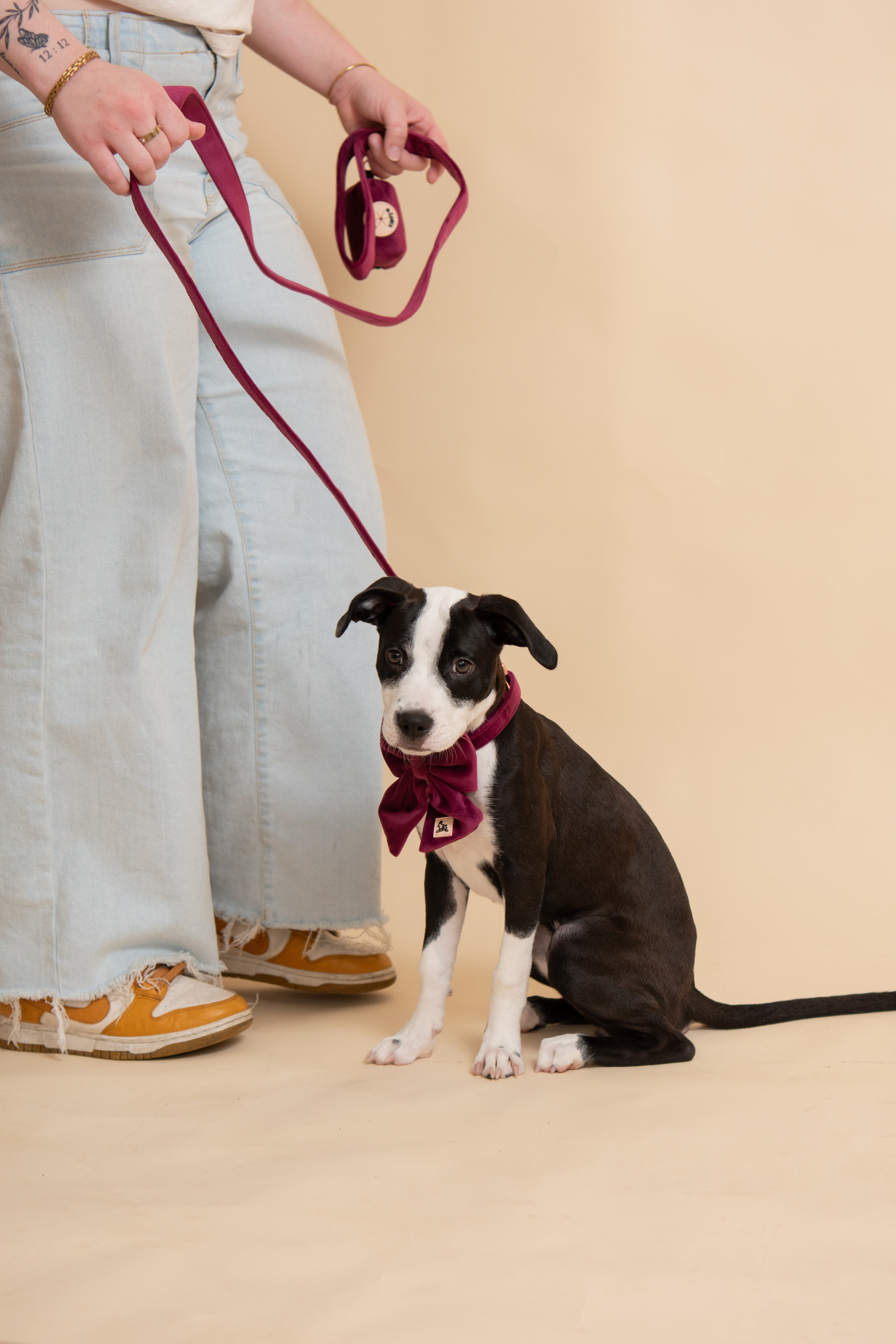 Royal Lilac Leash y Poop Bag Set