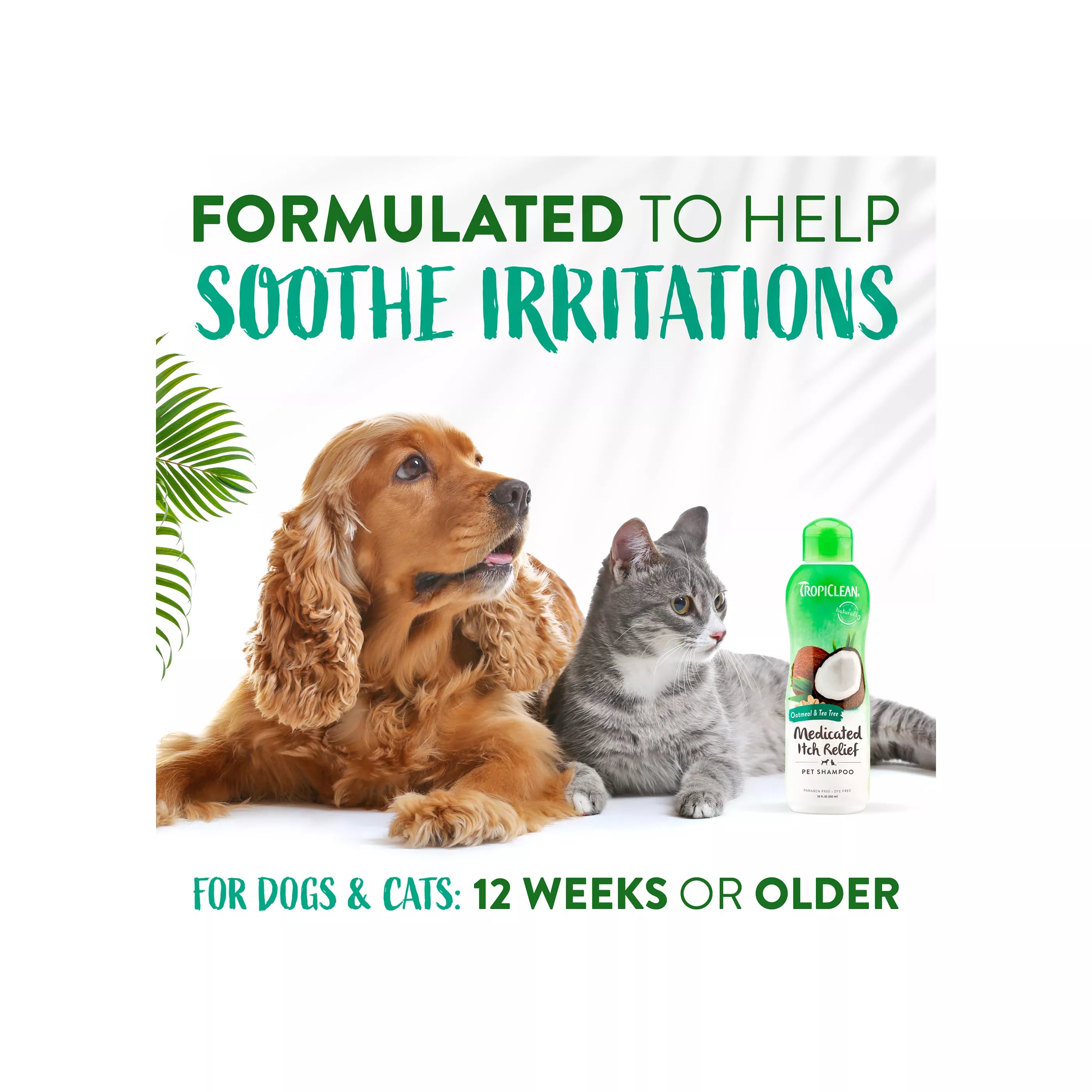 TropiClean® Medicated Oatmeal & Tea Tree Dog Shampoo