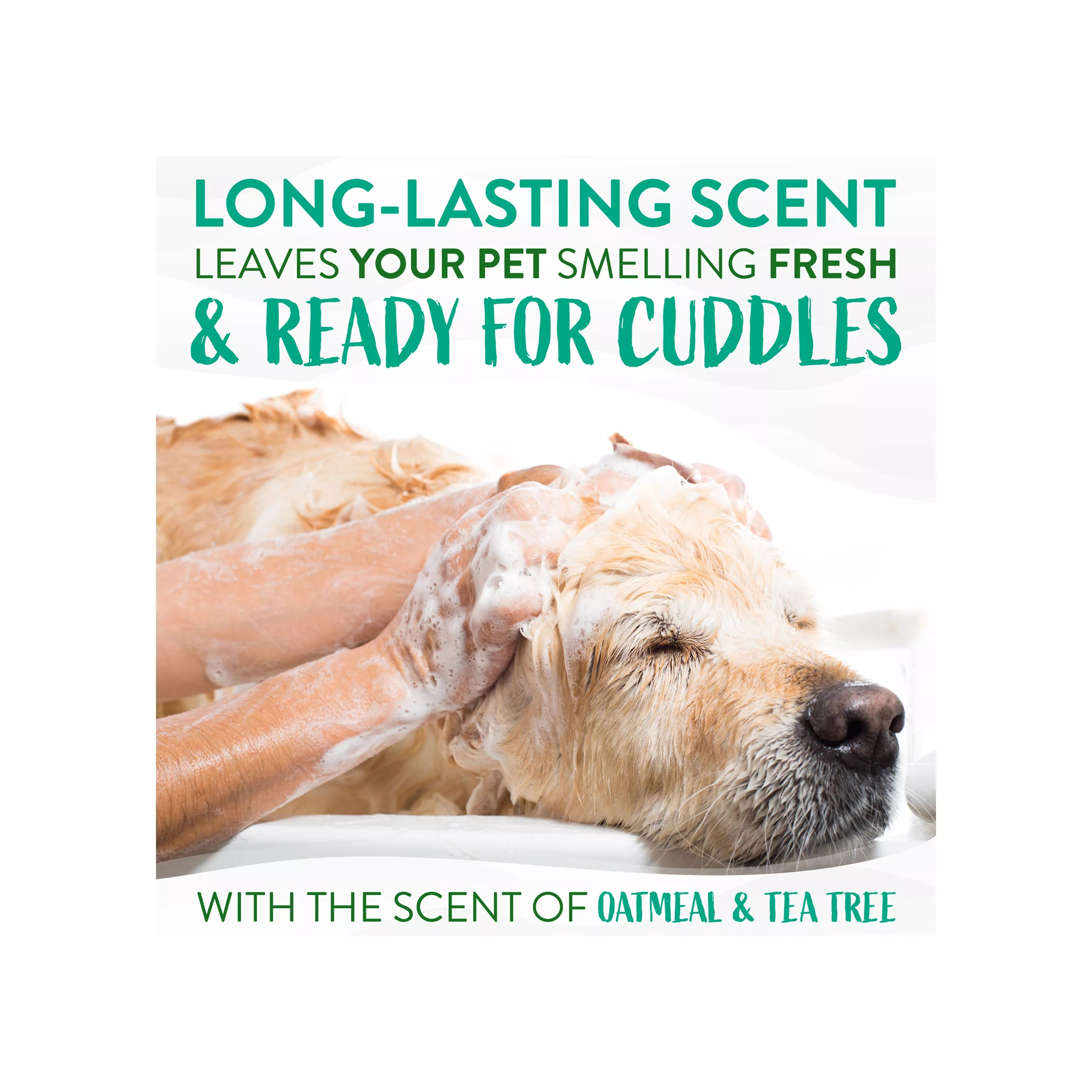 TropiClean® Medicated Oatmeal & Tea Tree Dog Shampoo