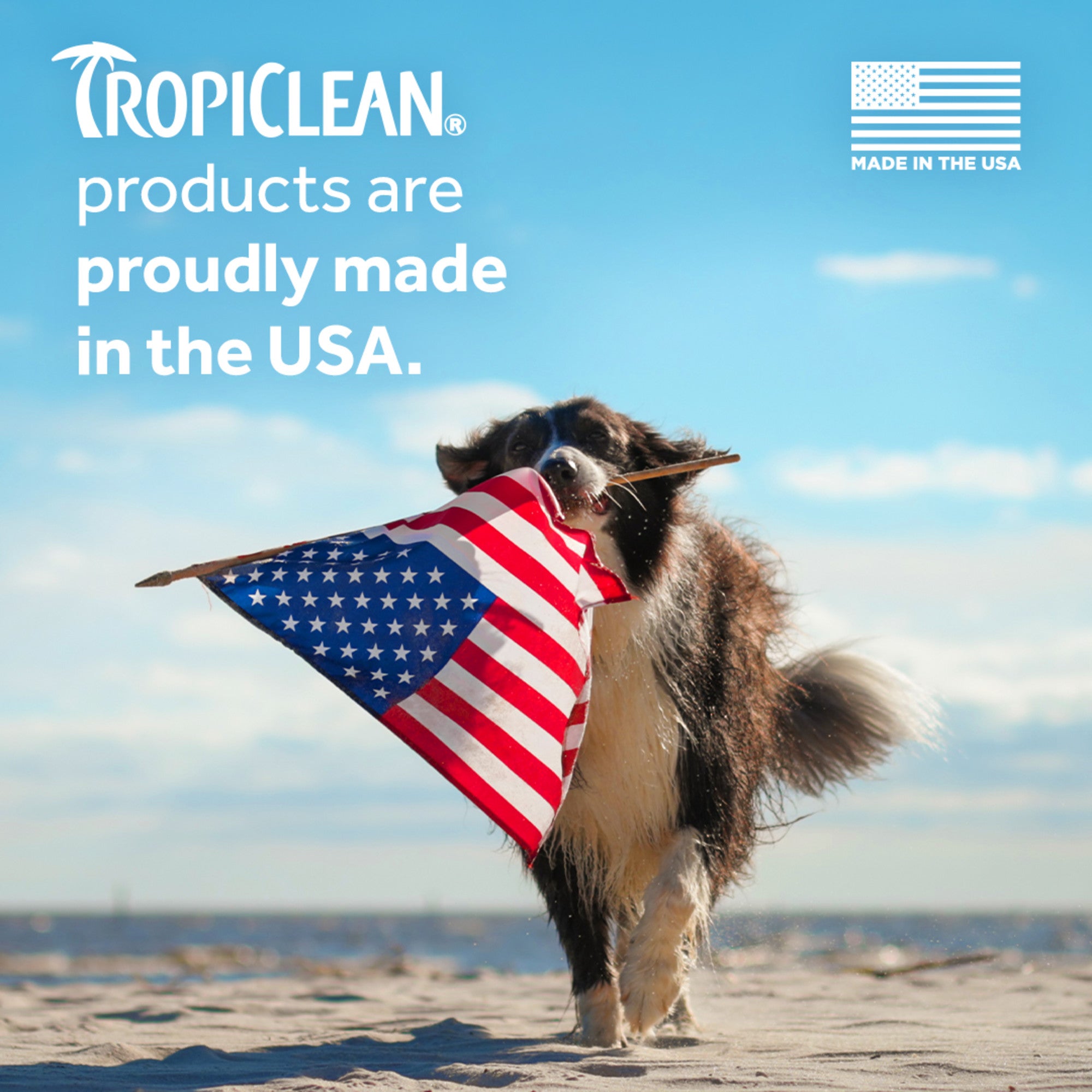 TC Berry Breeze Deodorizing PET SPRAY
