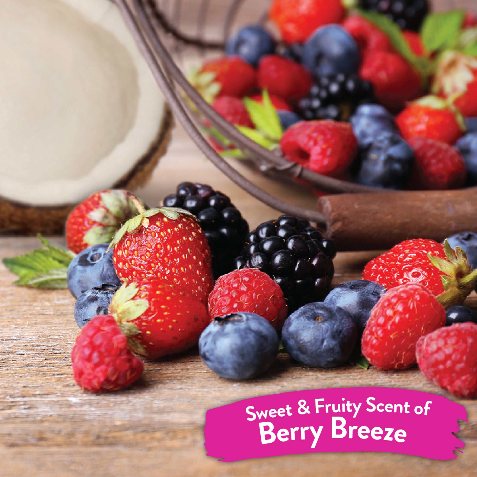 TC Berry Breeze Deodorizing PET SPRAY