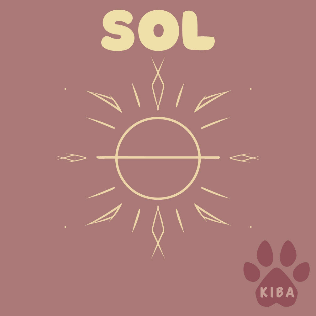 Sol Unisex Tee